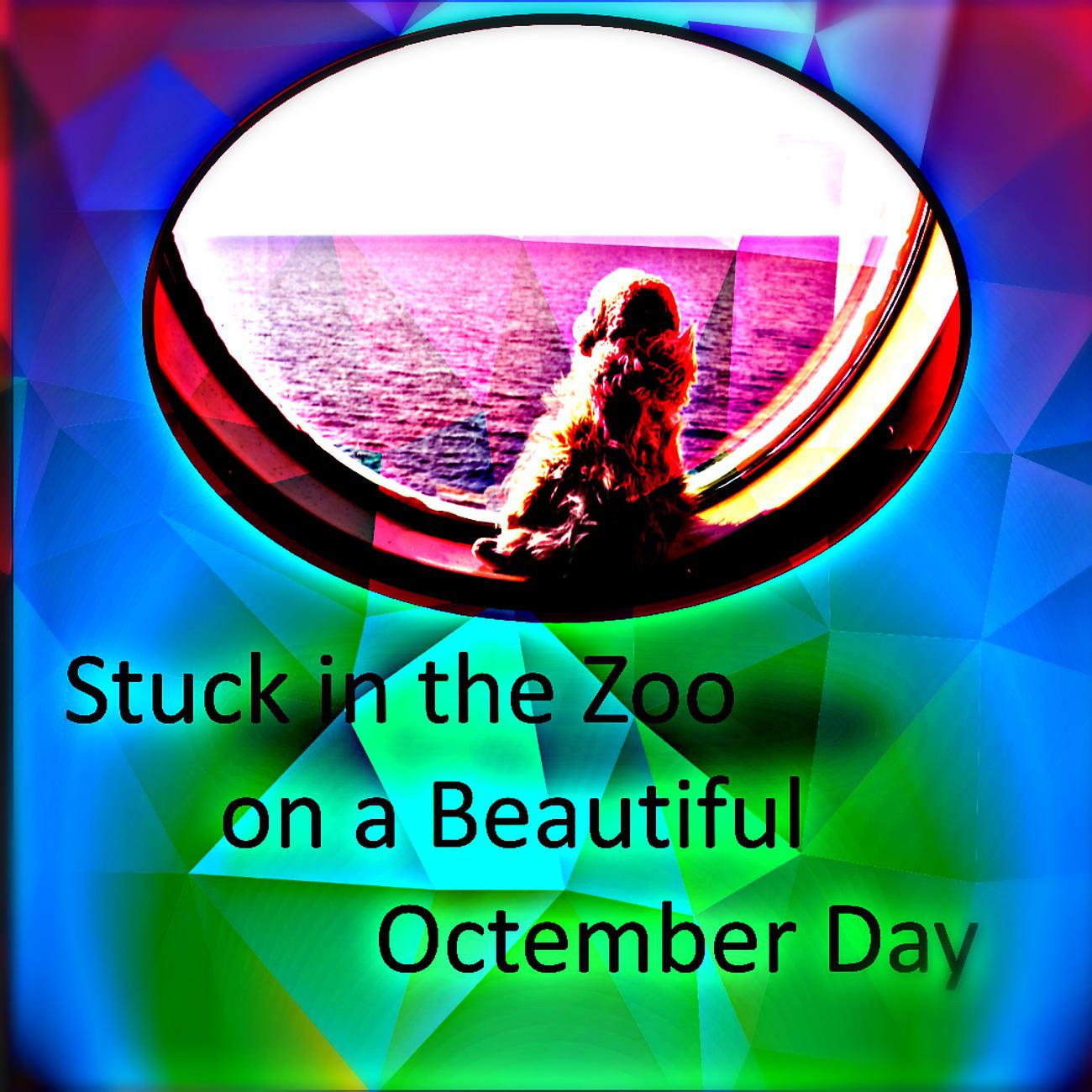 Постер альбома Stuck in the Zoo on a Beautiful Octember Day