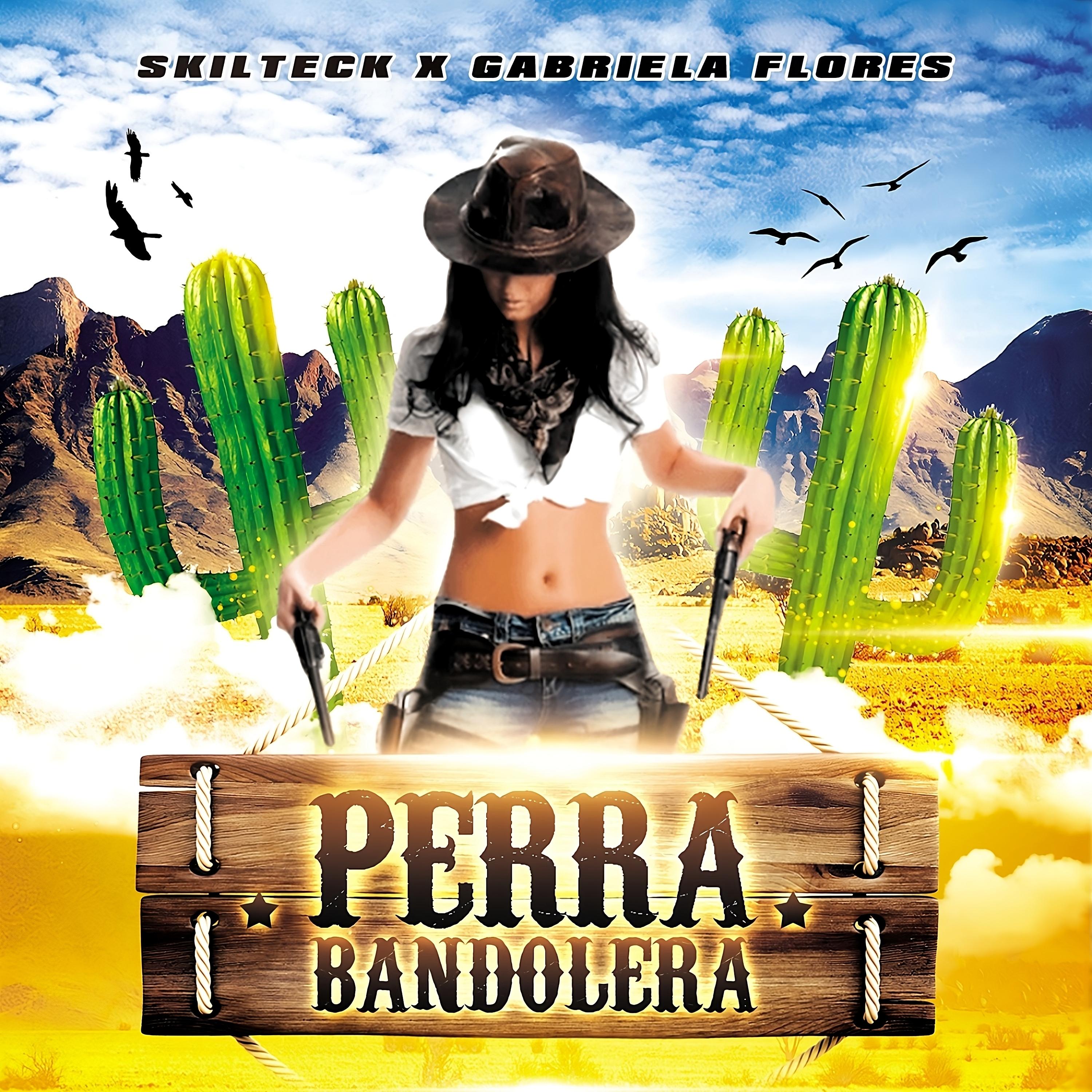 Постер альбома Perra Bandolera