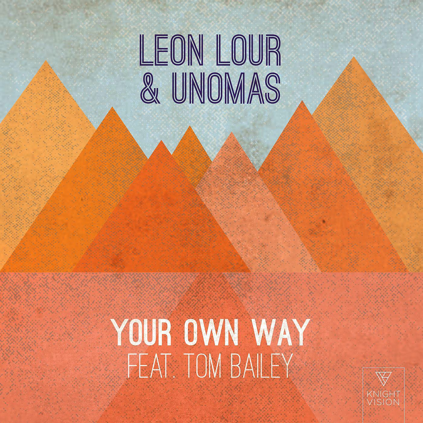 Постер альбома Your Own Way (feat. Tom Bailey)