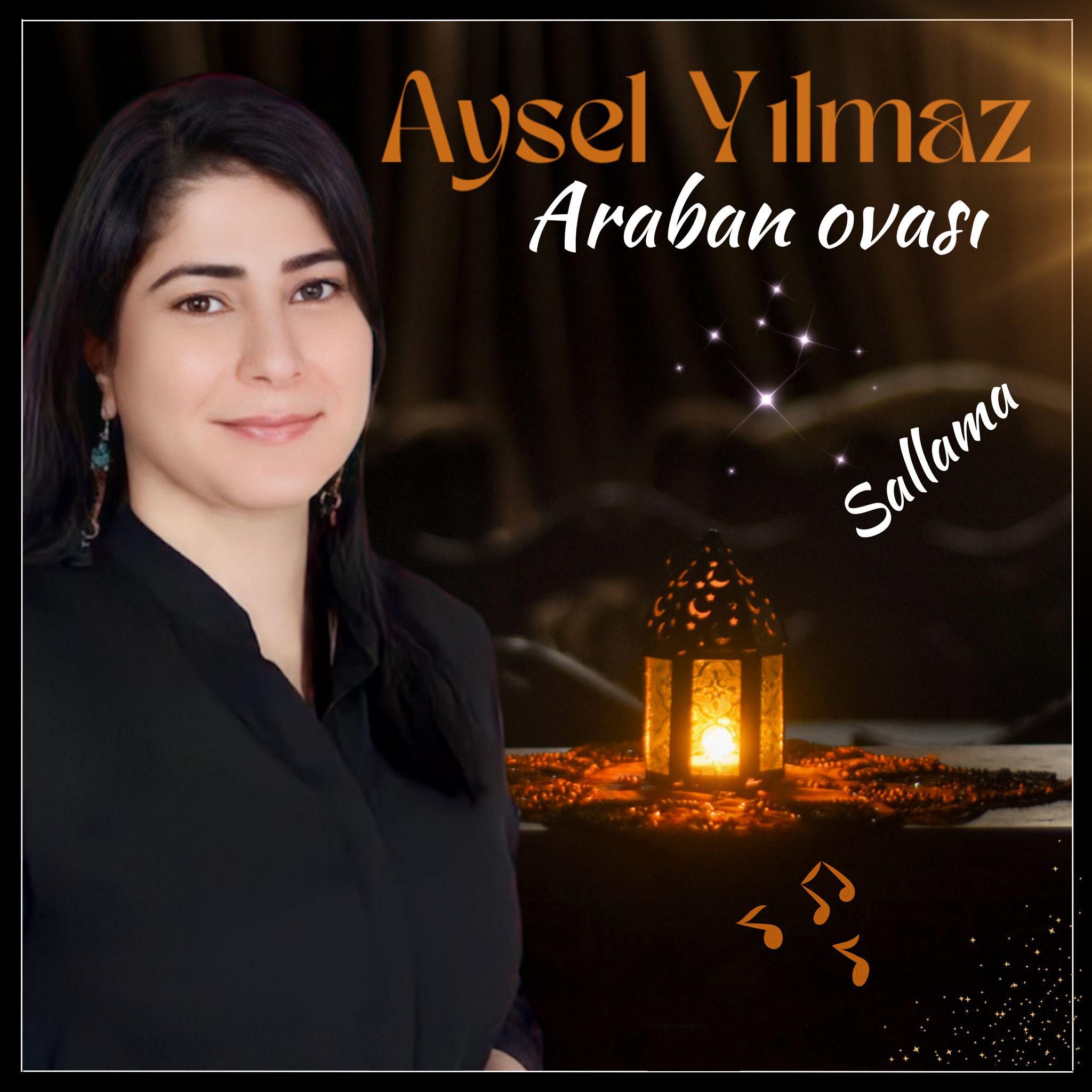 Постер альбома Araban Ovası