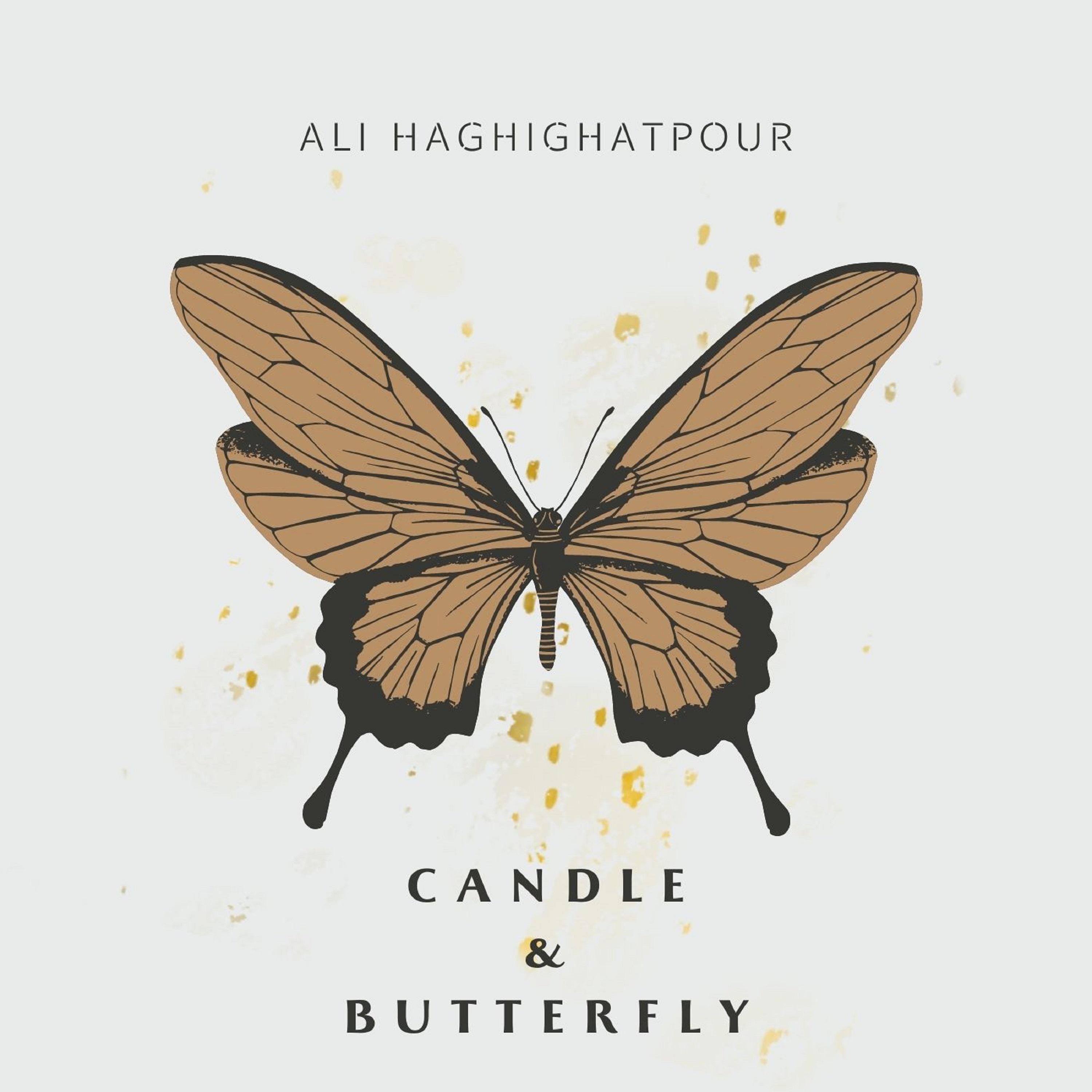 Постер альбома Candle & Butterfly