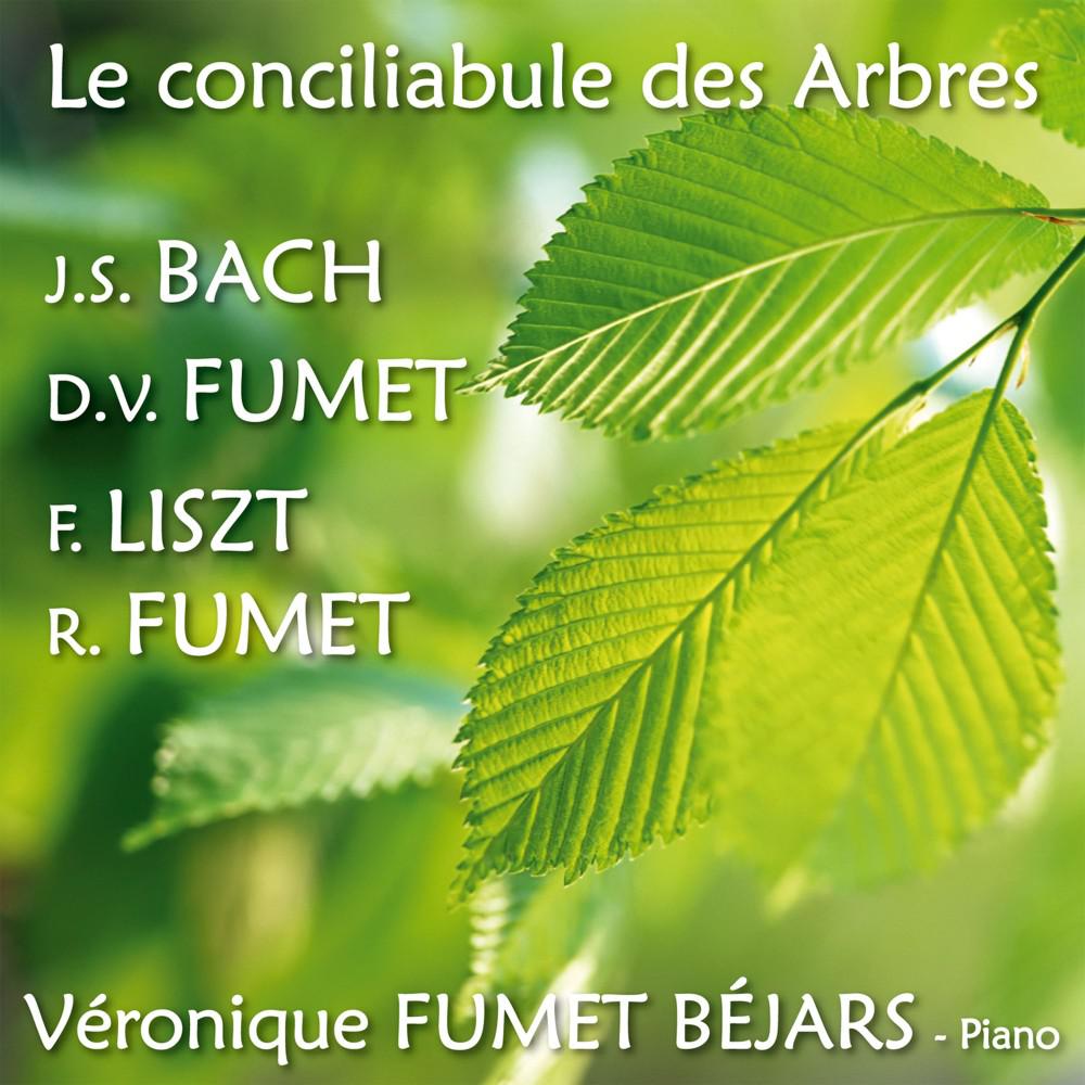 Постер альбома Le conciliabule des Arbres