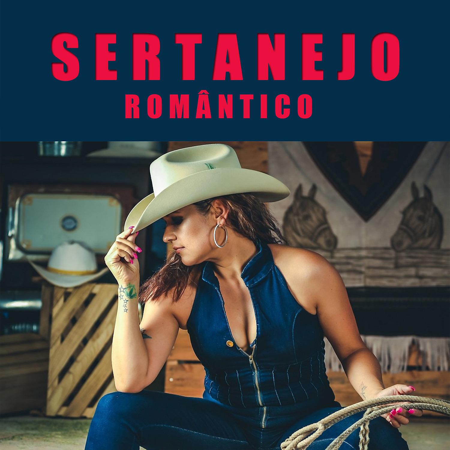 Постер альбома Sertanejo Romantico