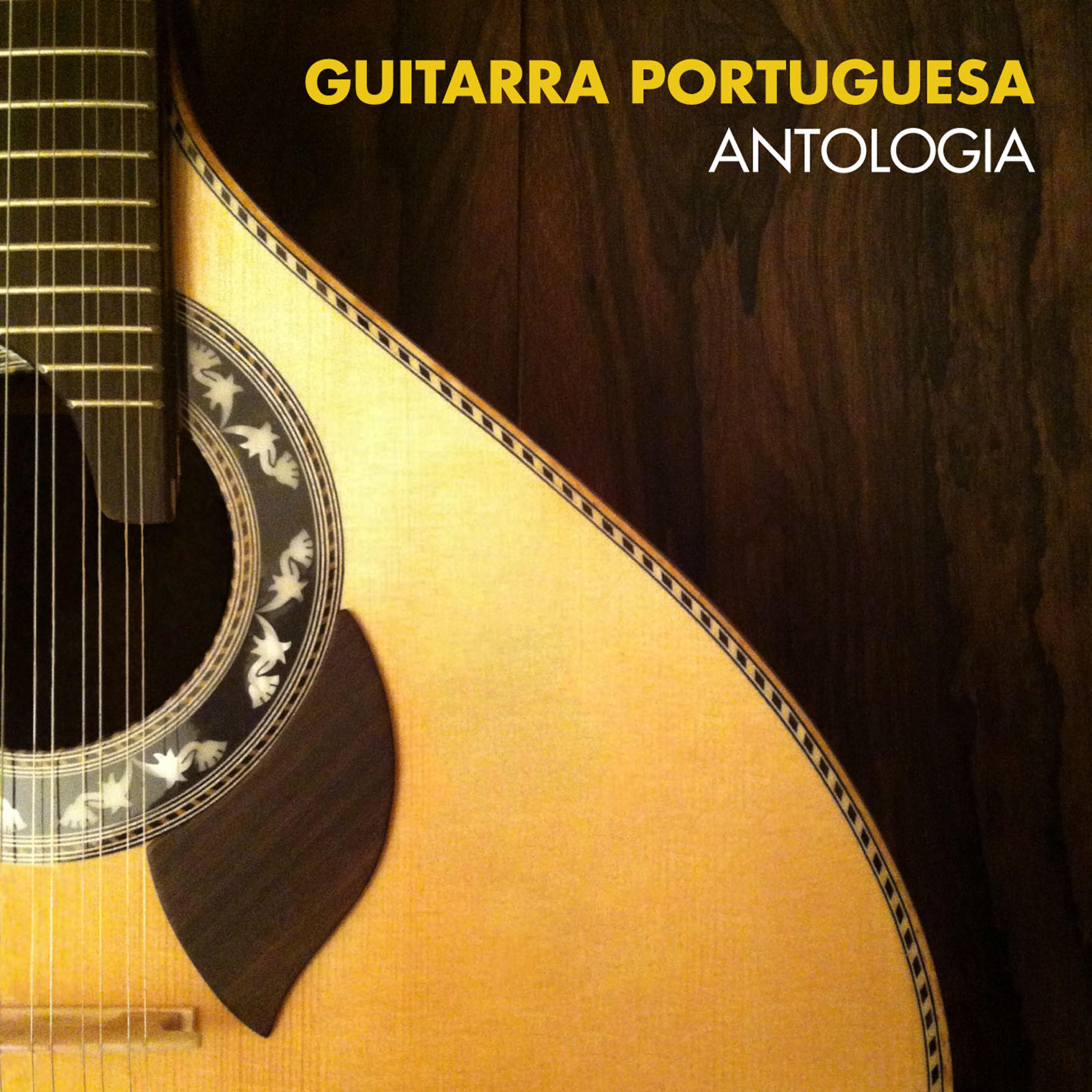 Постер альбома Guitarra Portuguesa Antologia