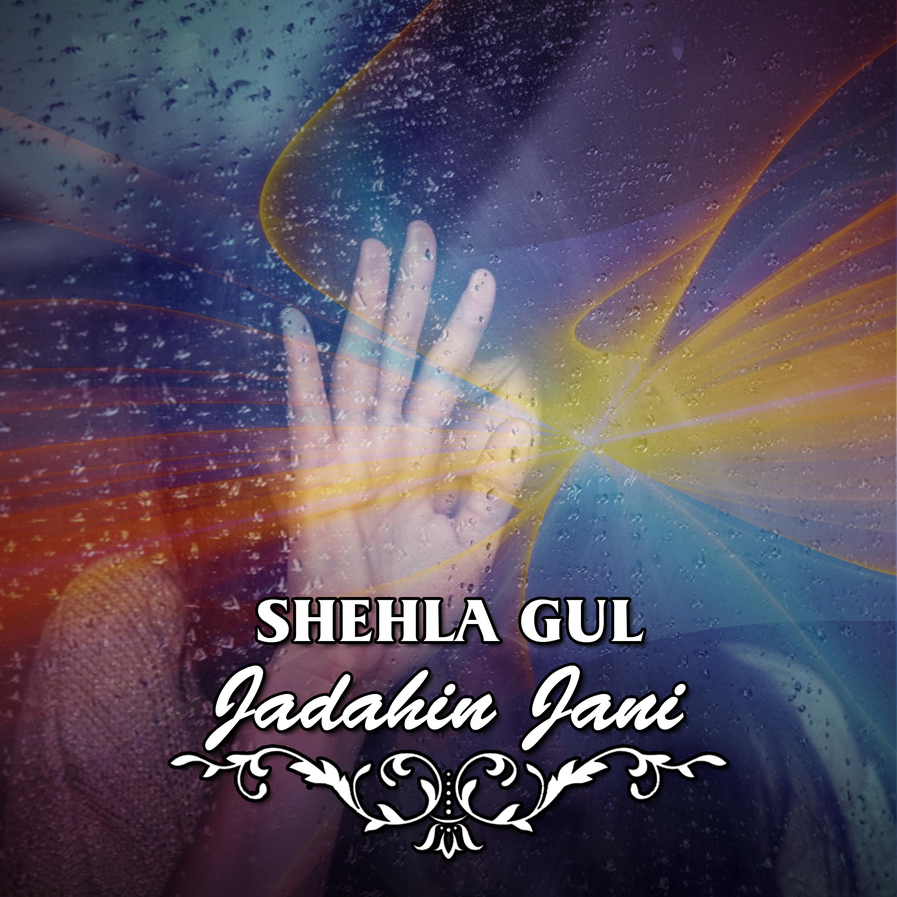 Постер альбома Jadahin Jani