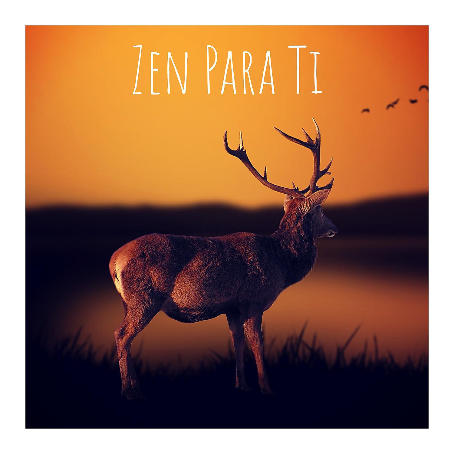 Постер альбома Zen para Ti