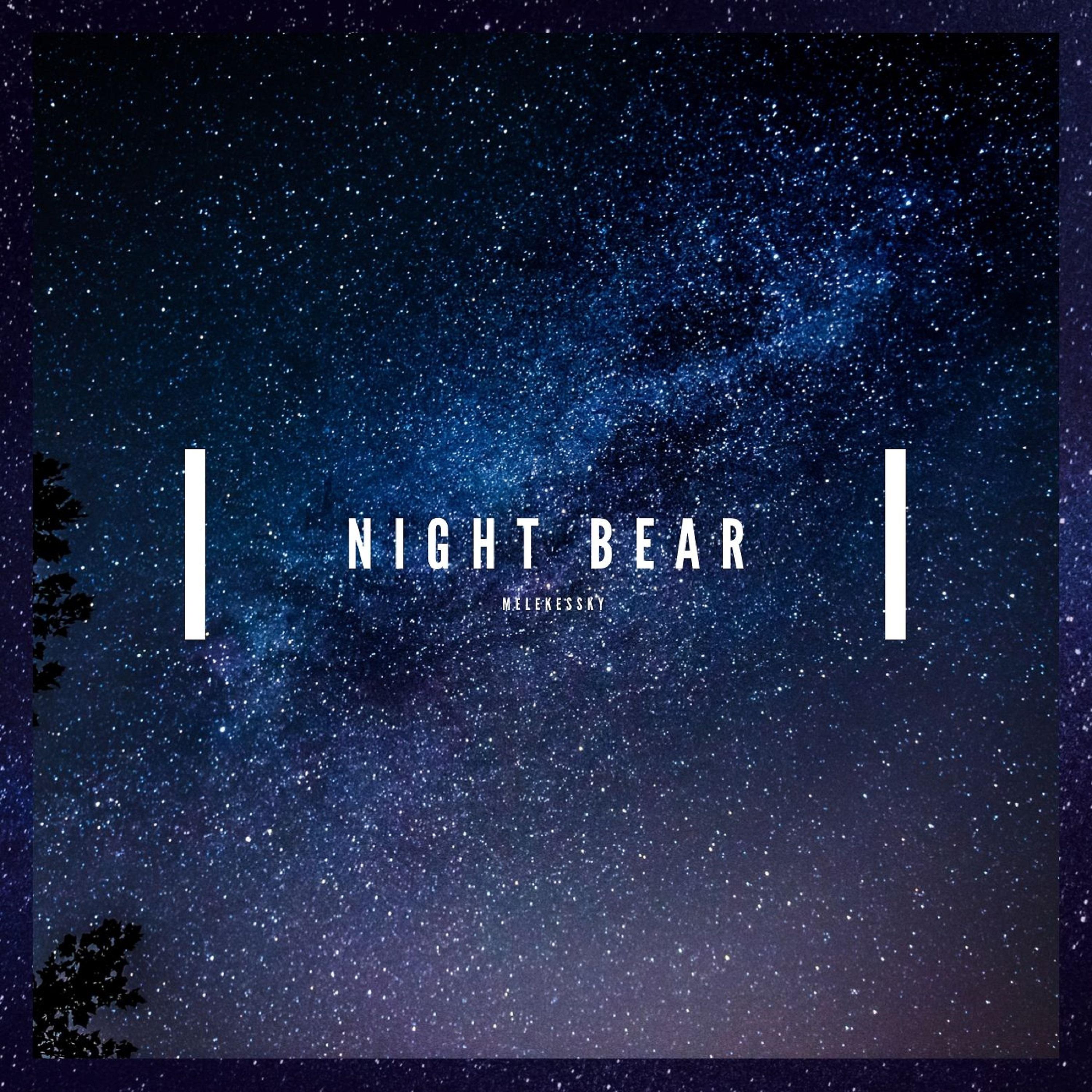 Постер альбома Night Bear