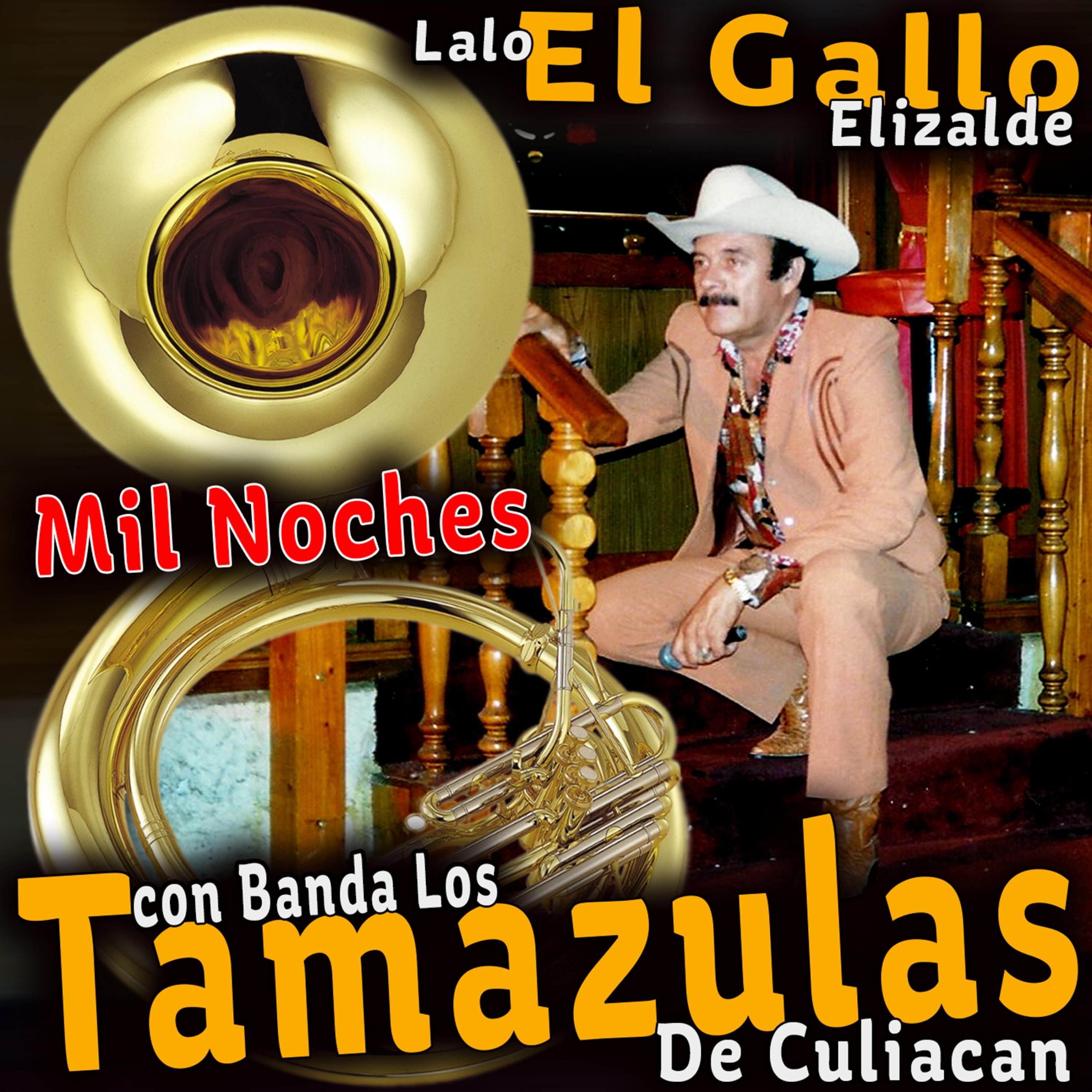 Постер альбома Con Banda los Tamazulas de Culiacan