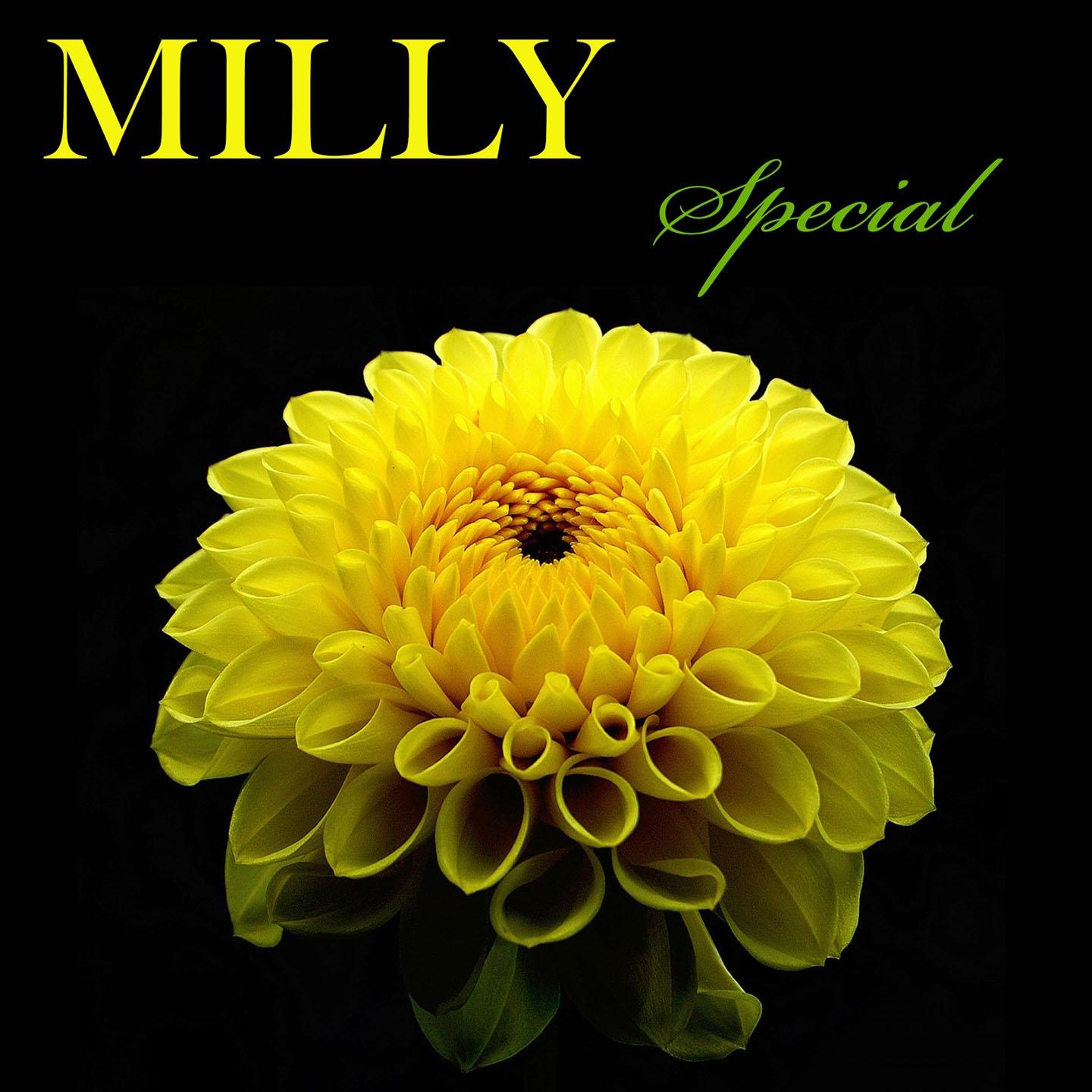 Постер альбома Milly Special