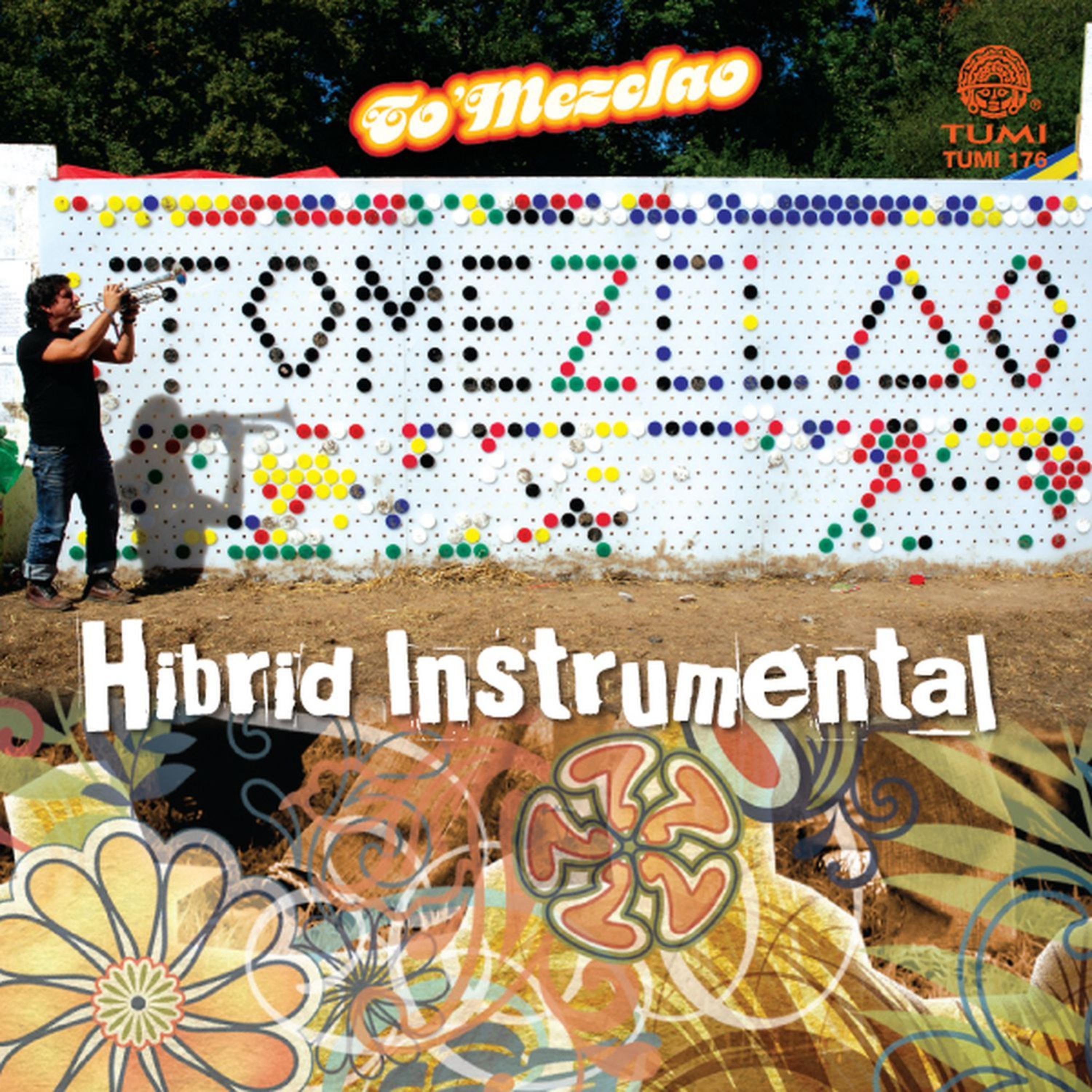Постер альбома Hibrid Instrumental