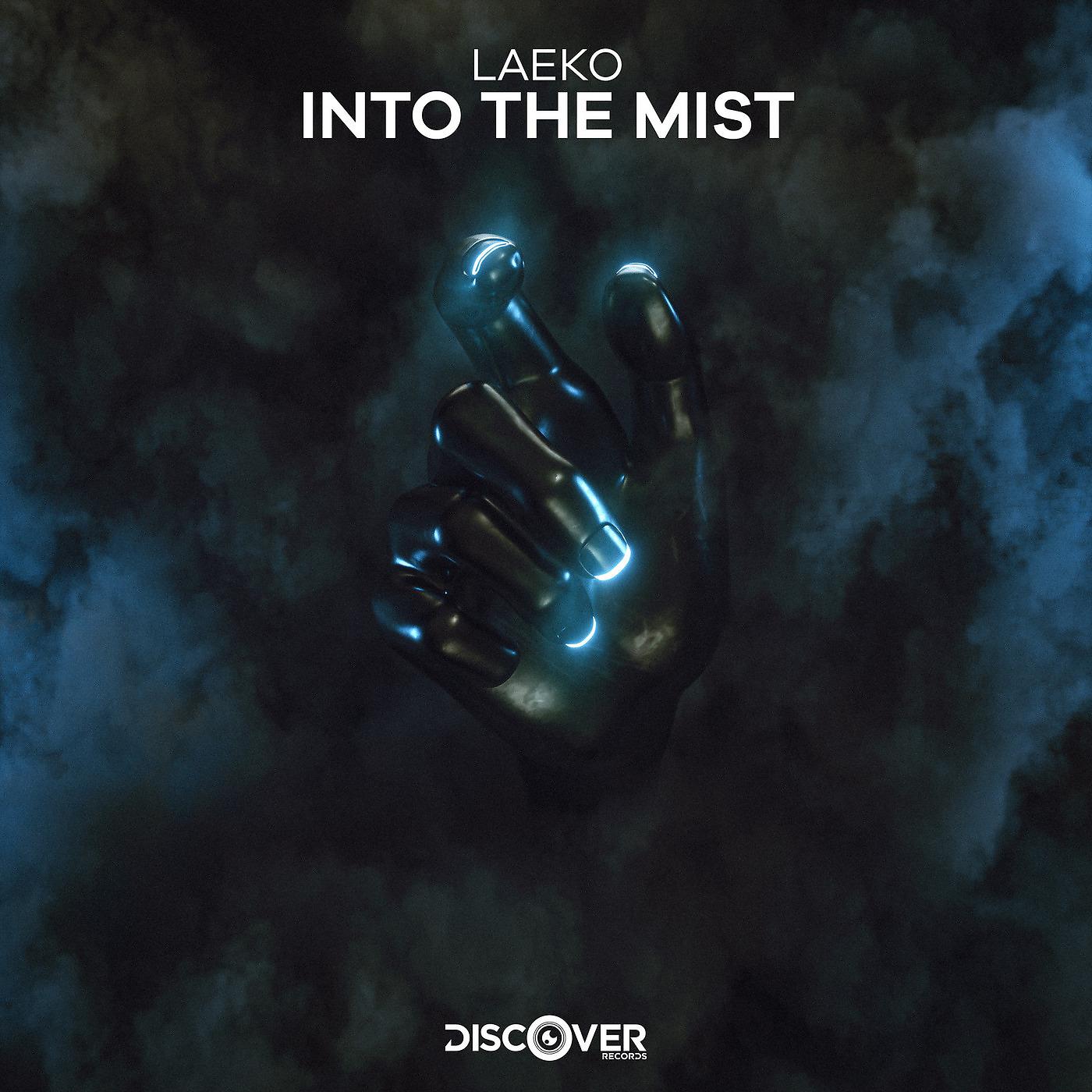 Постер альбома Into the Mist