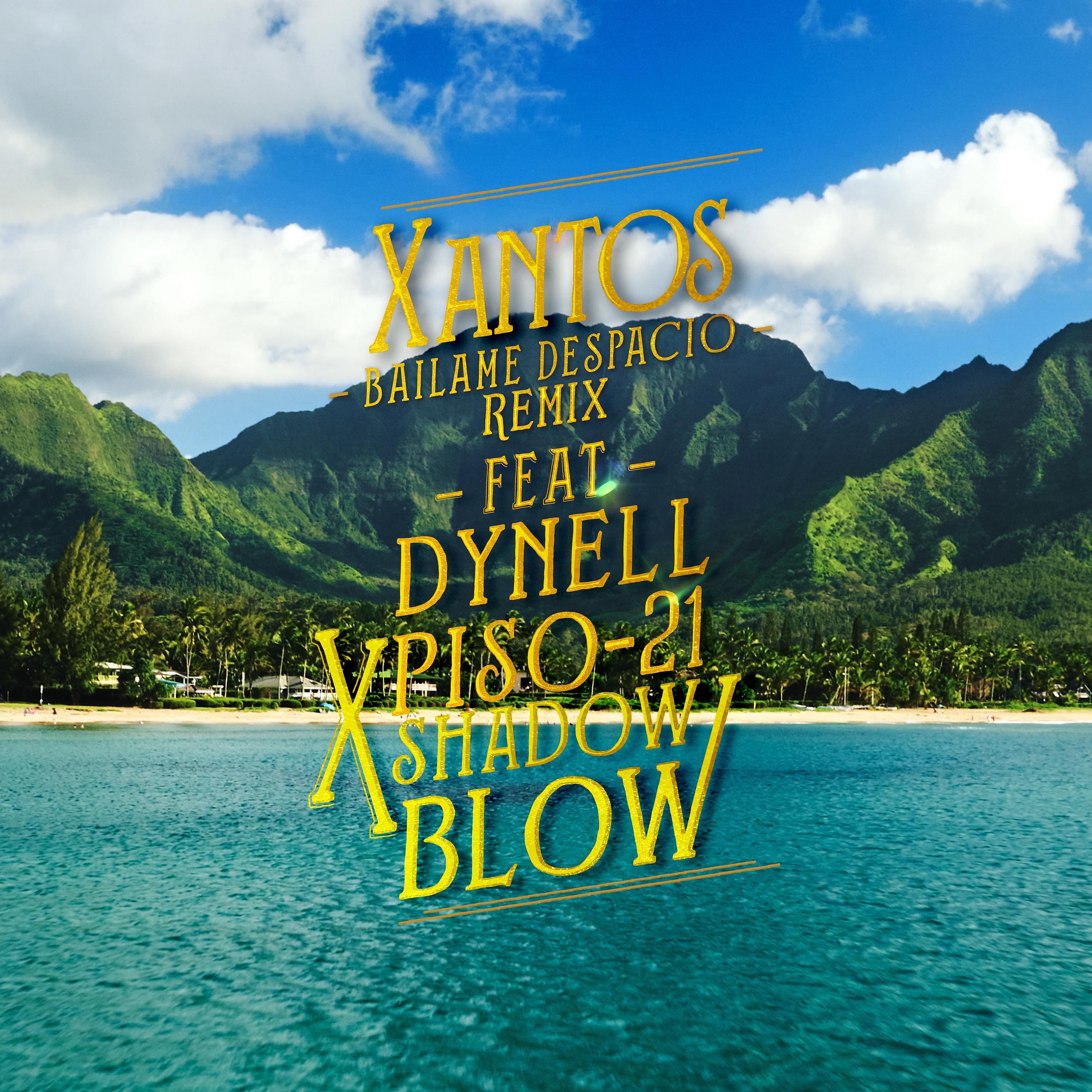 Постер альбома Bailame Despacio Remix (Feat. Dynell, Piso 21, Shadow Blow)