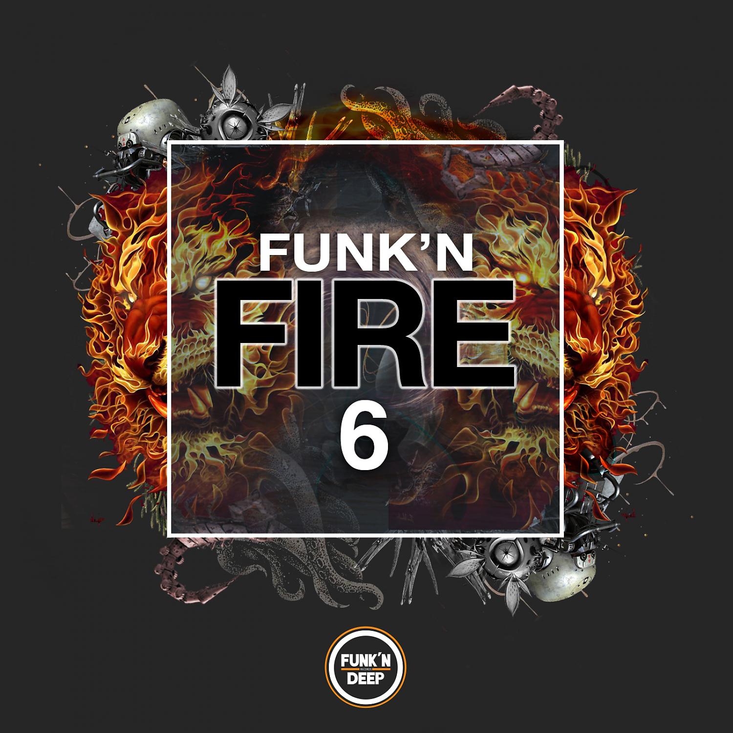 Постер альбома Funk'n Fire 6