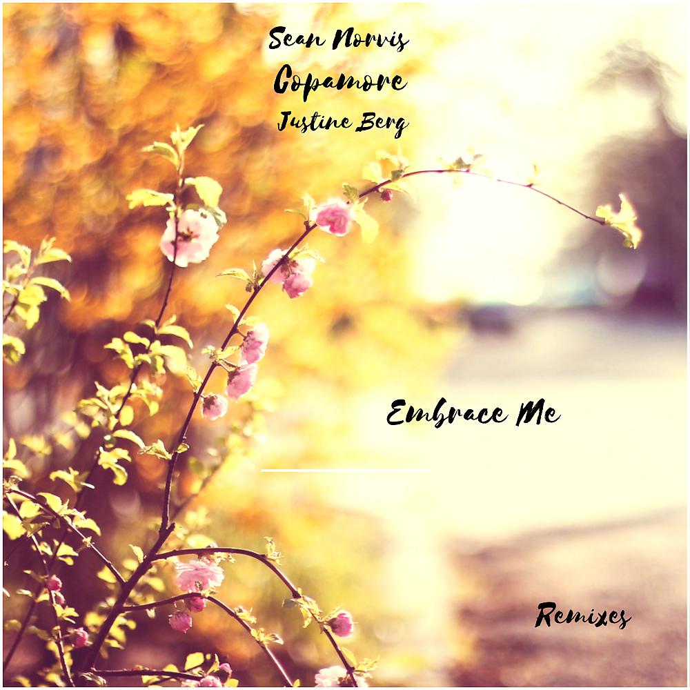 Постер альбома Embrace Me Remixes