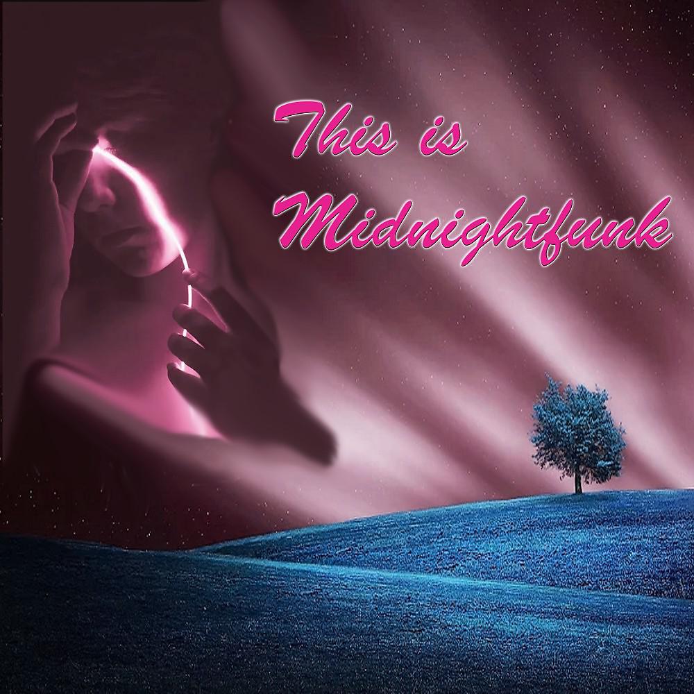 Постер альбома This Is Midnightfunk