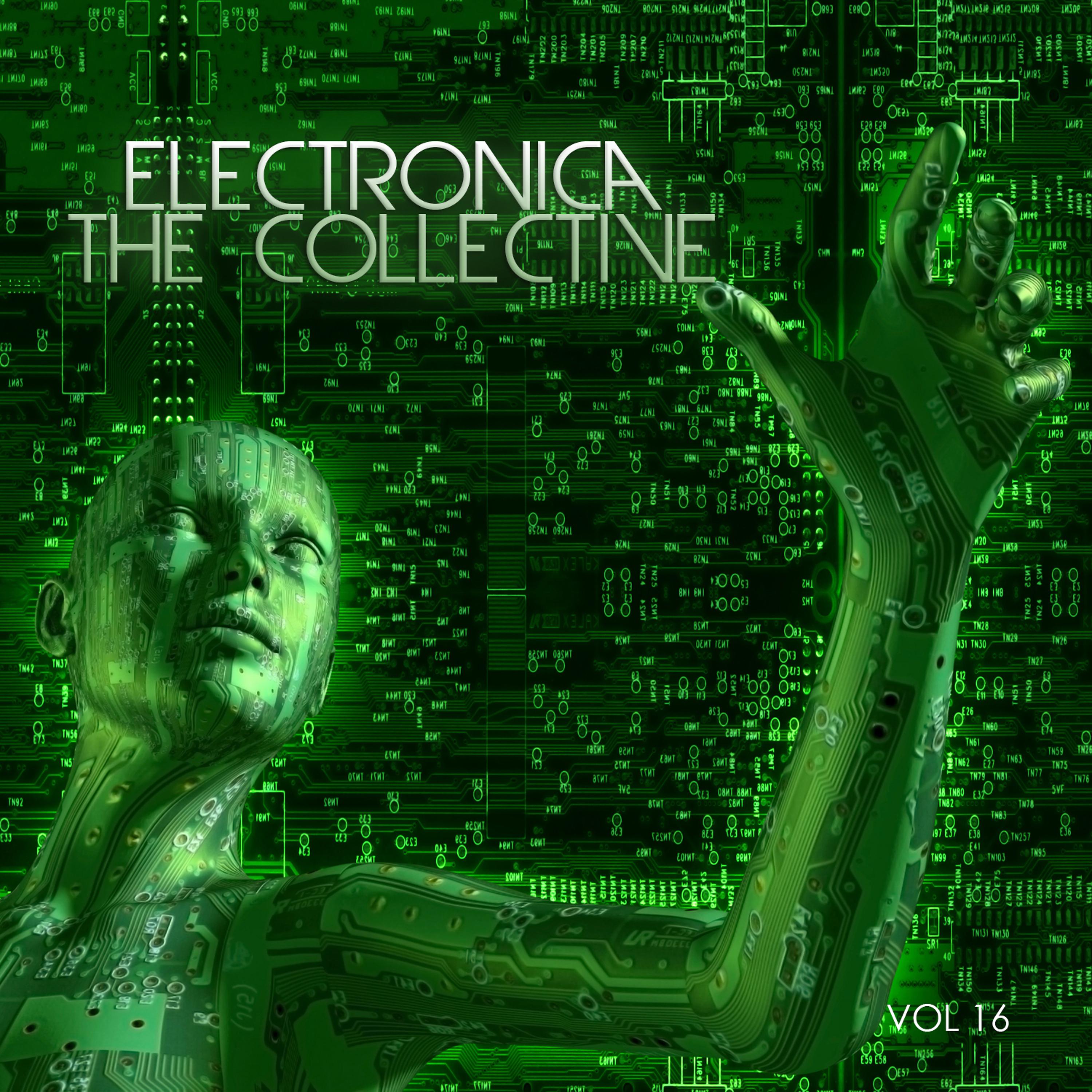 Постер альбома Electronica: The Collective, Vol. 16