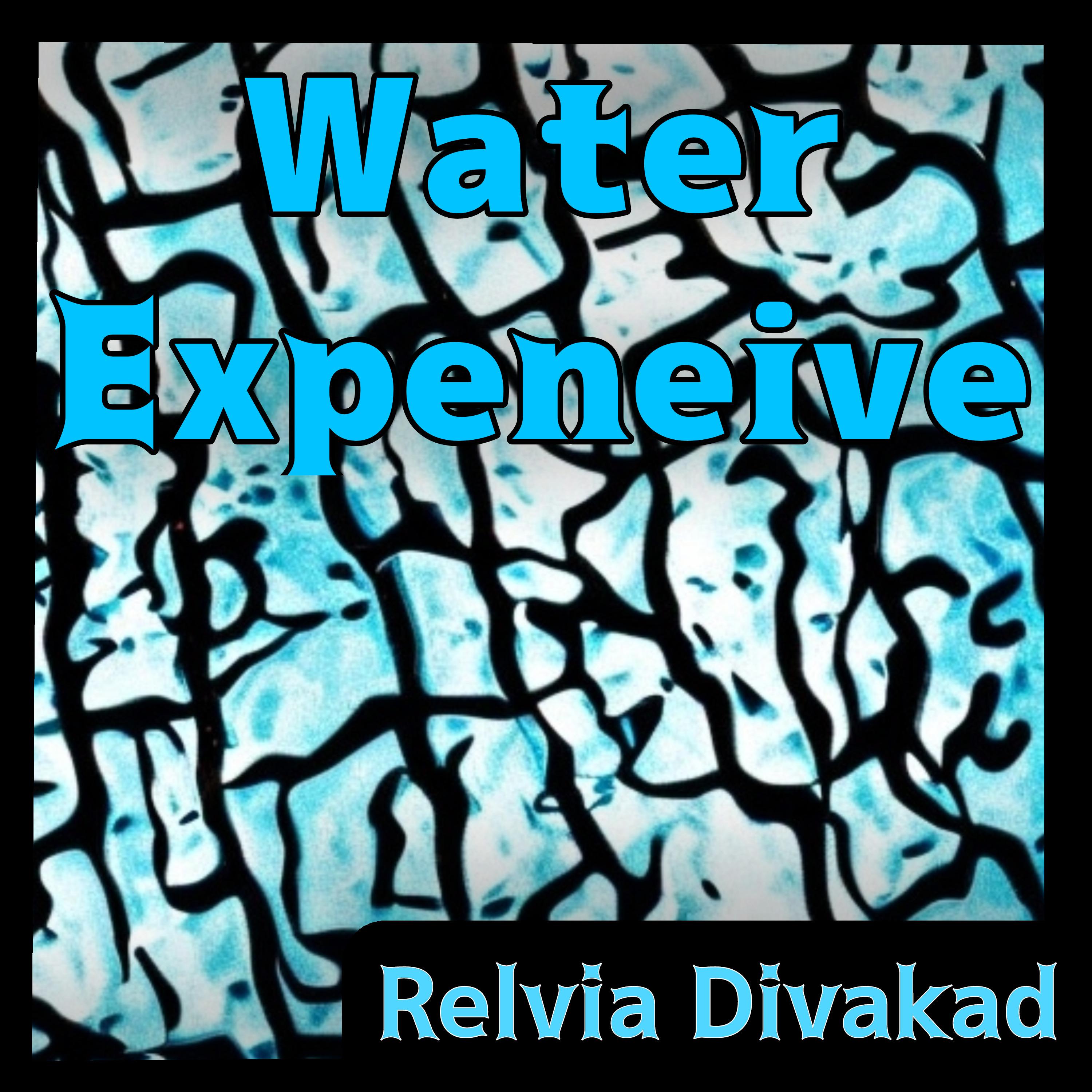 Постер альбома Water Expensive