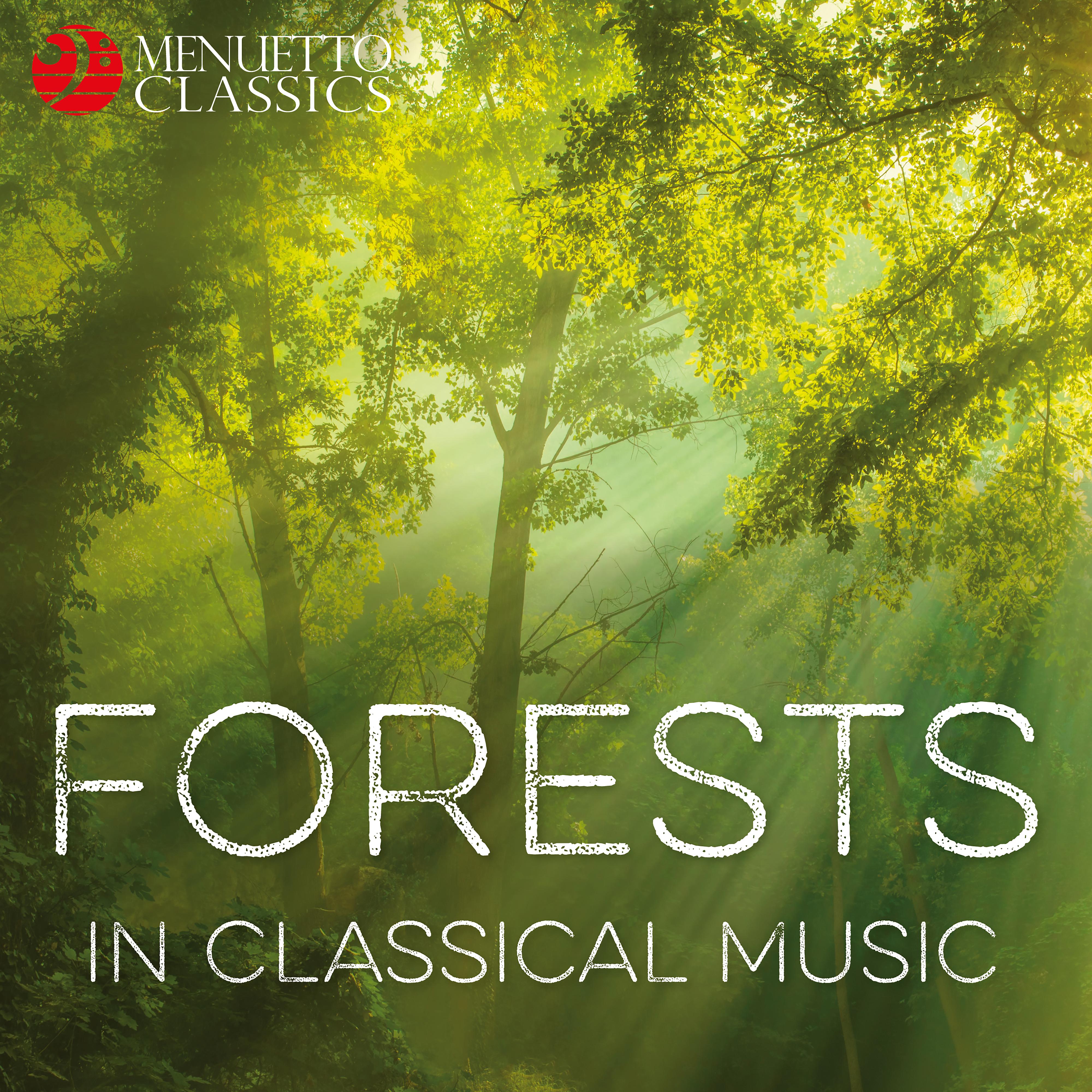 Постер альбома Forests in Classical Music