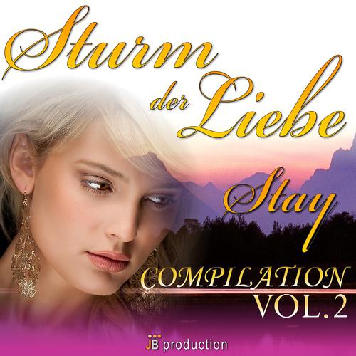 Постер альбома Sturm der liebe: Best Love Hits Compilation, Vol. 2