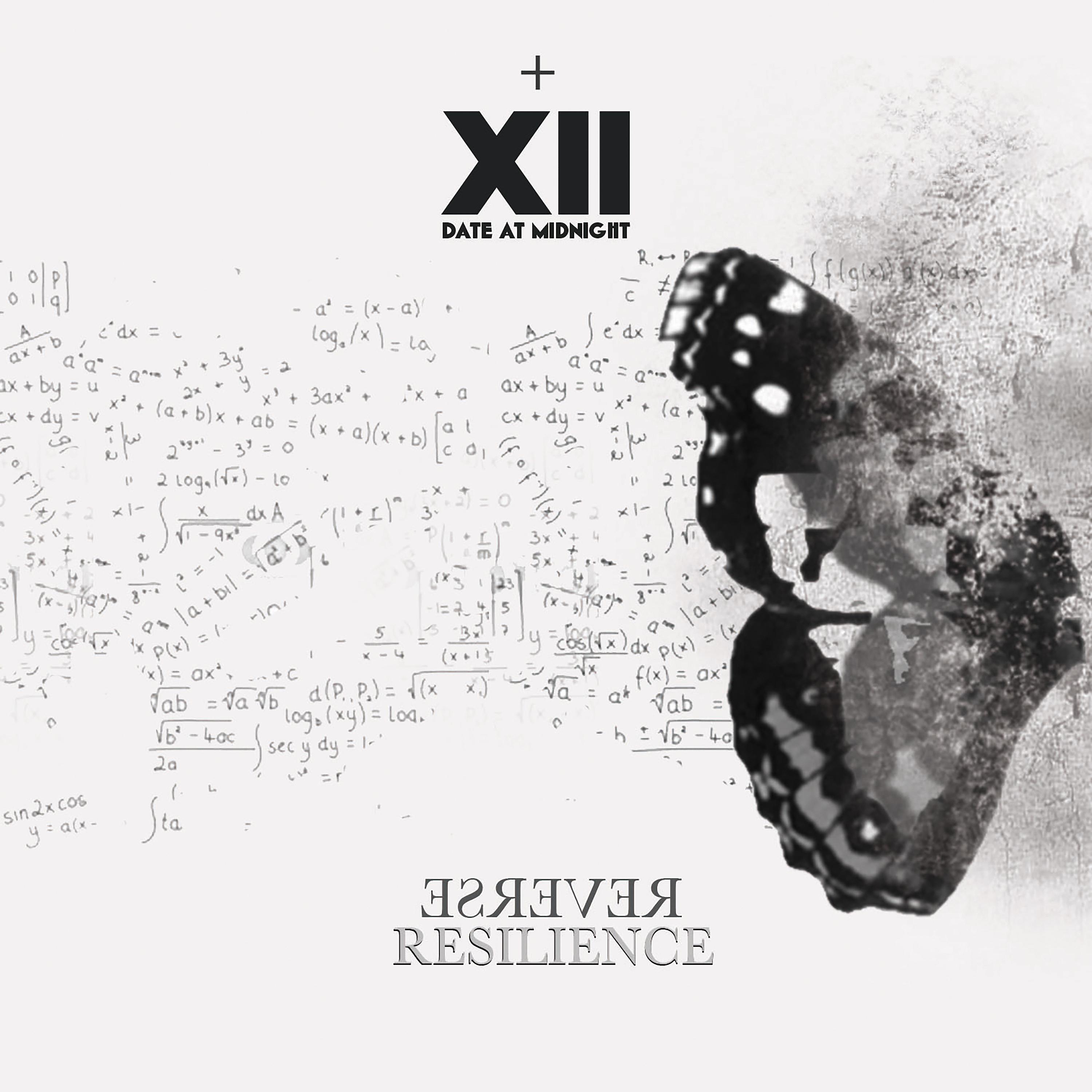 Постер альбома Reverse Resilience