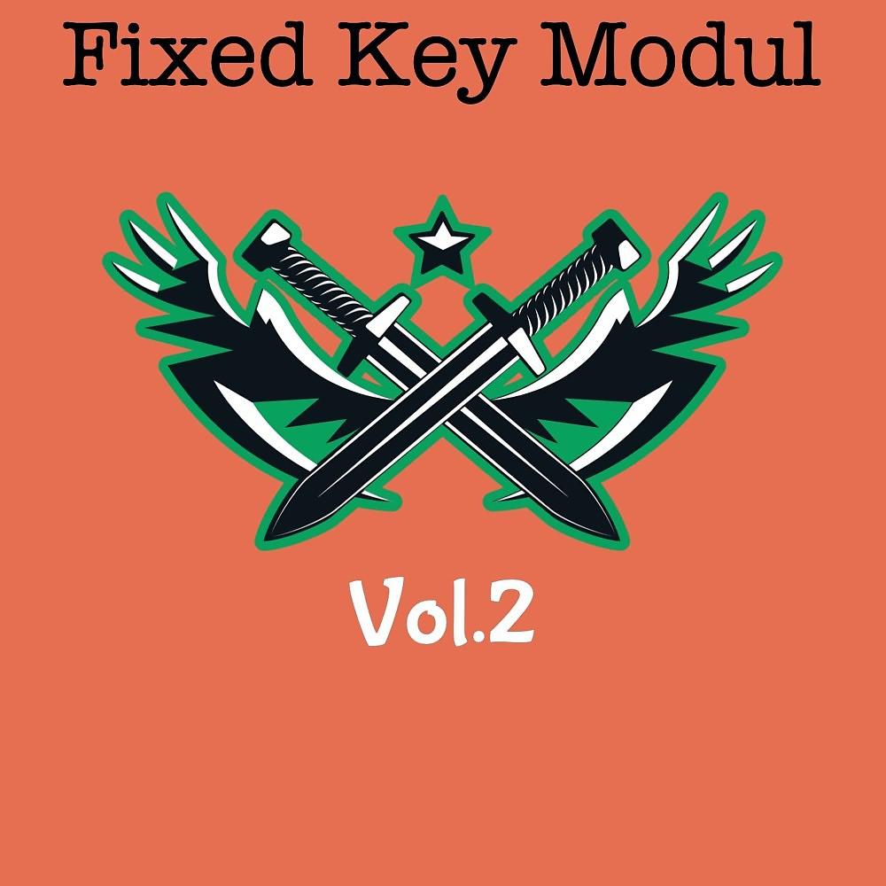 Постер альбома Fixed Key Modul, Vol. 2