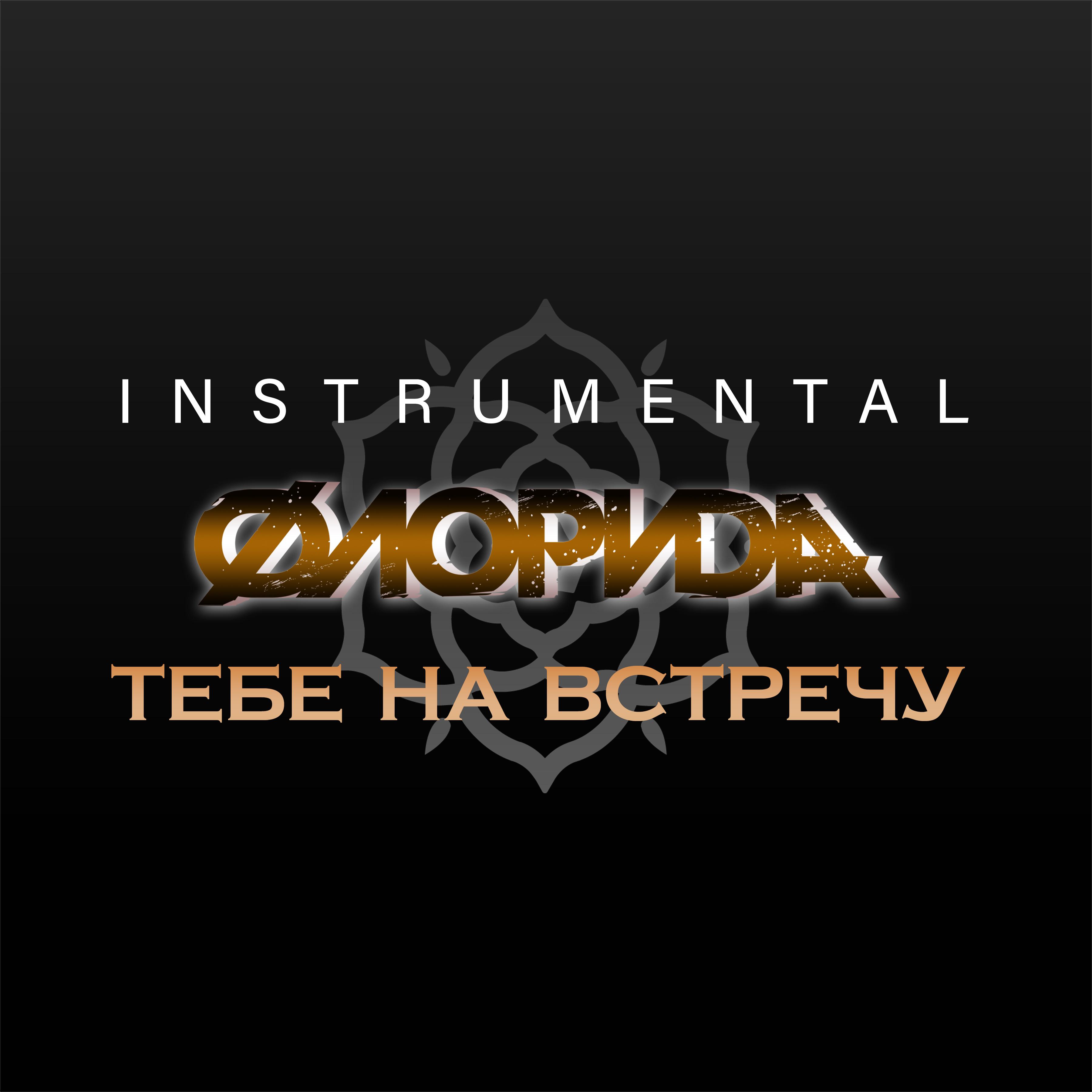 Постер альбома Тебе на встречу (Instrumental)