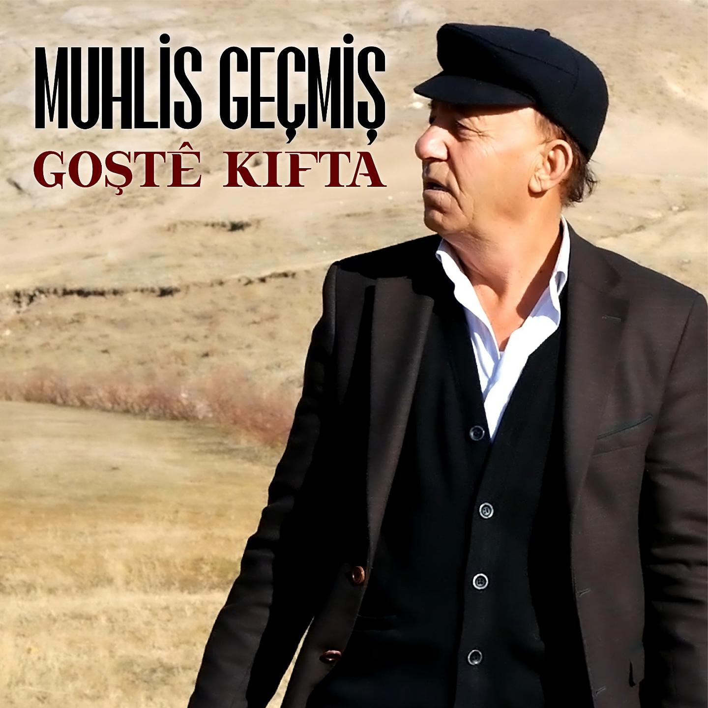 Постер альбома Goştê Kifta