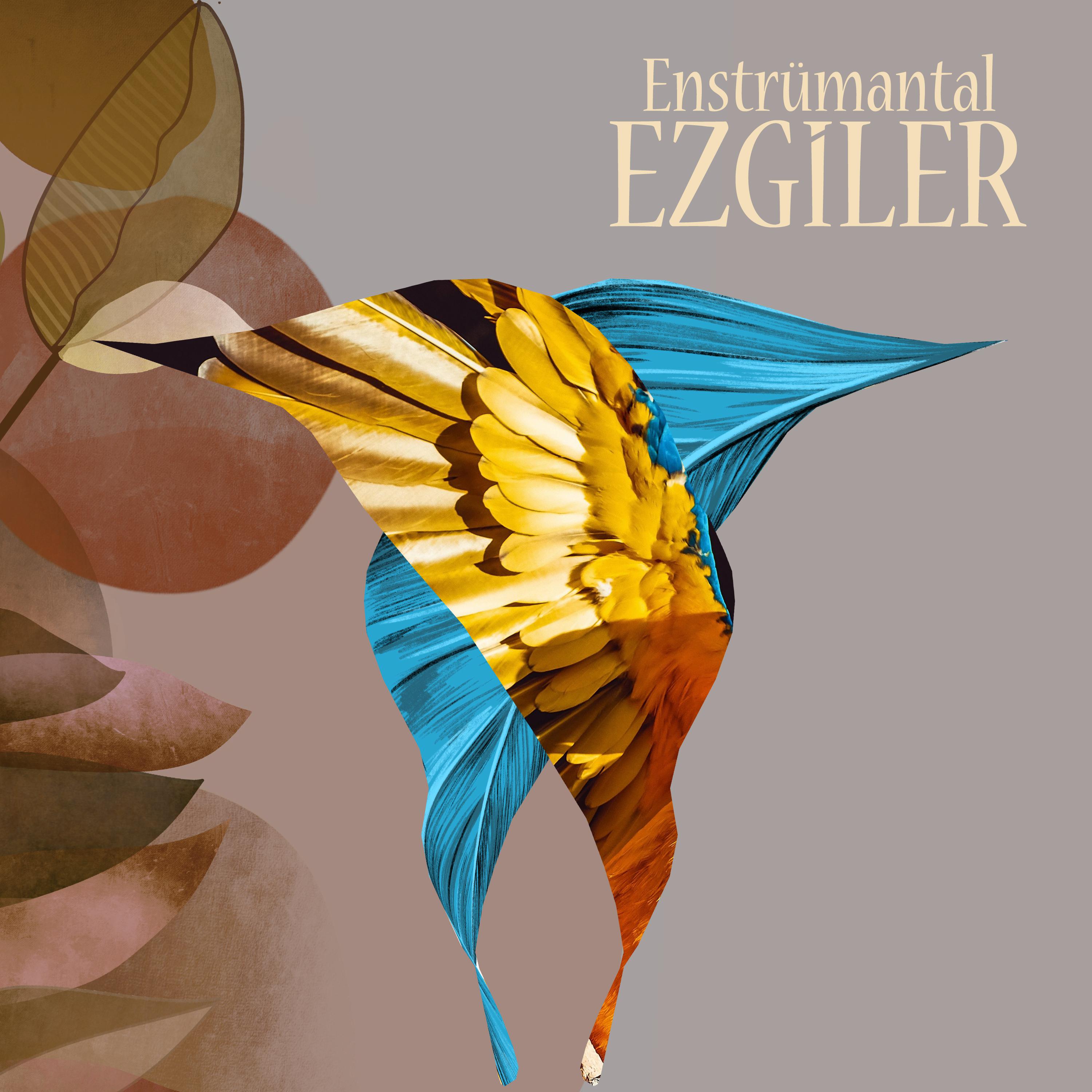Постер альбома Enstrümantal Ezgiler
