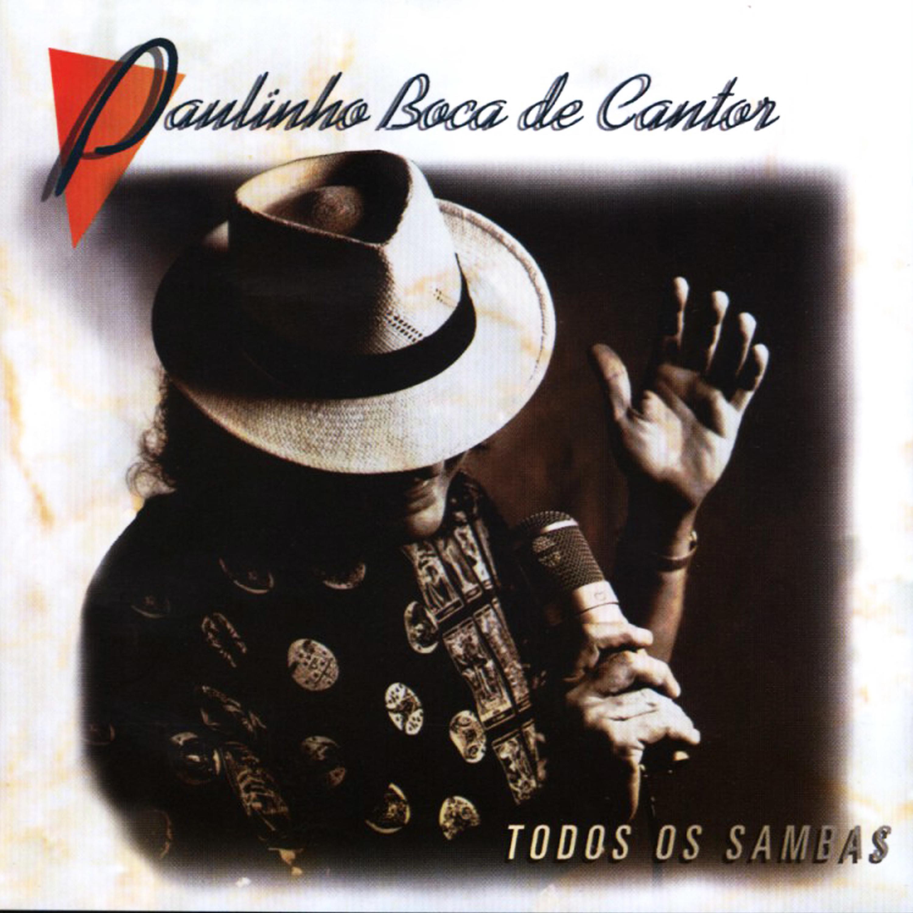 Постер альбома Todos os Sambas