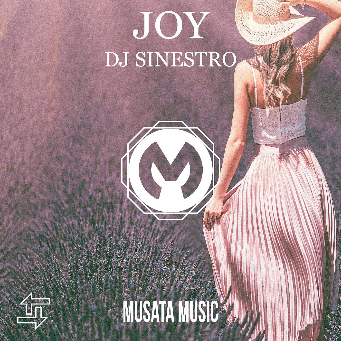 Постер альбома Joy