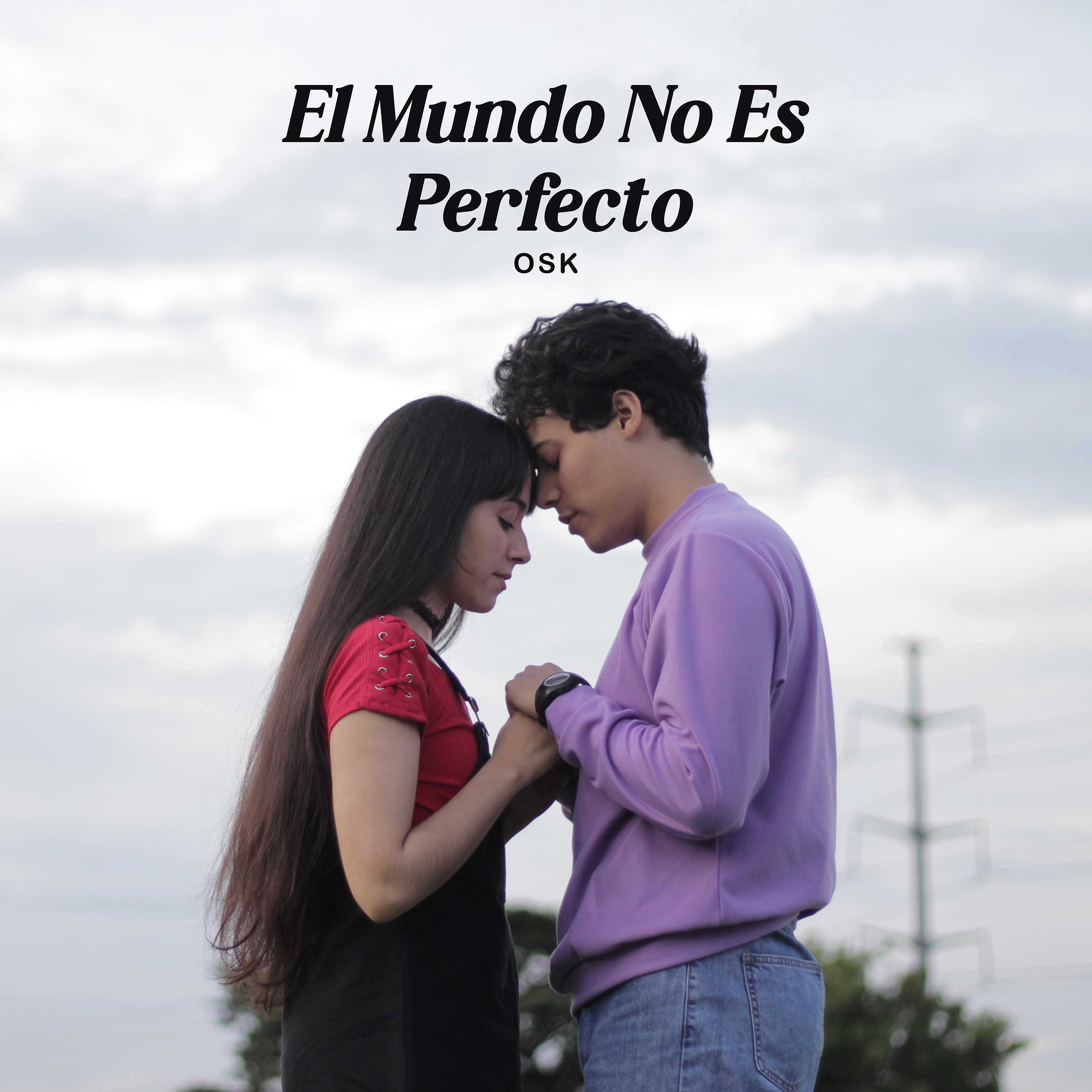Постер альбома El Mundo No Es Perfecto