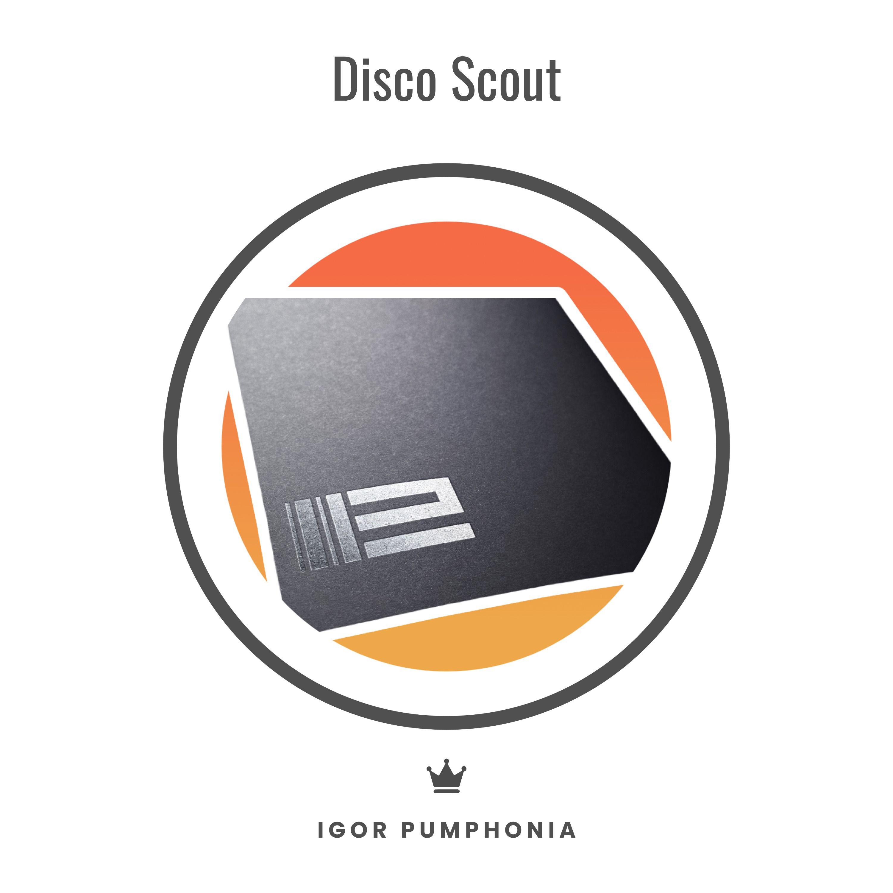 Постер альбома Disco Scout