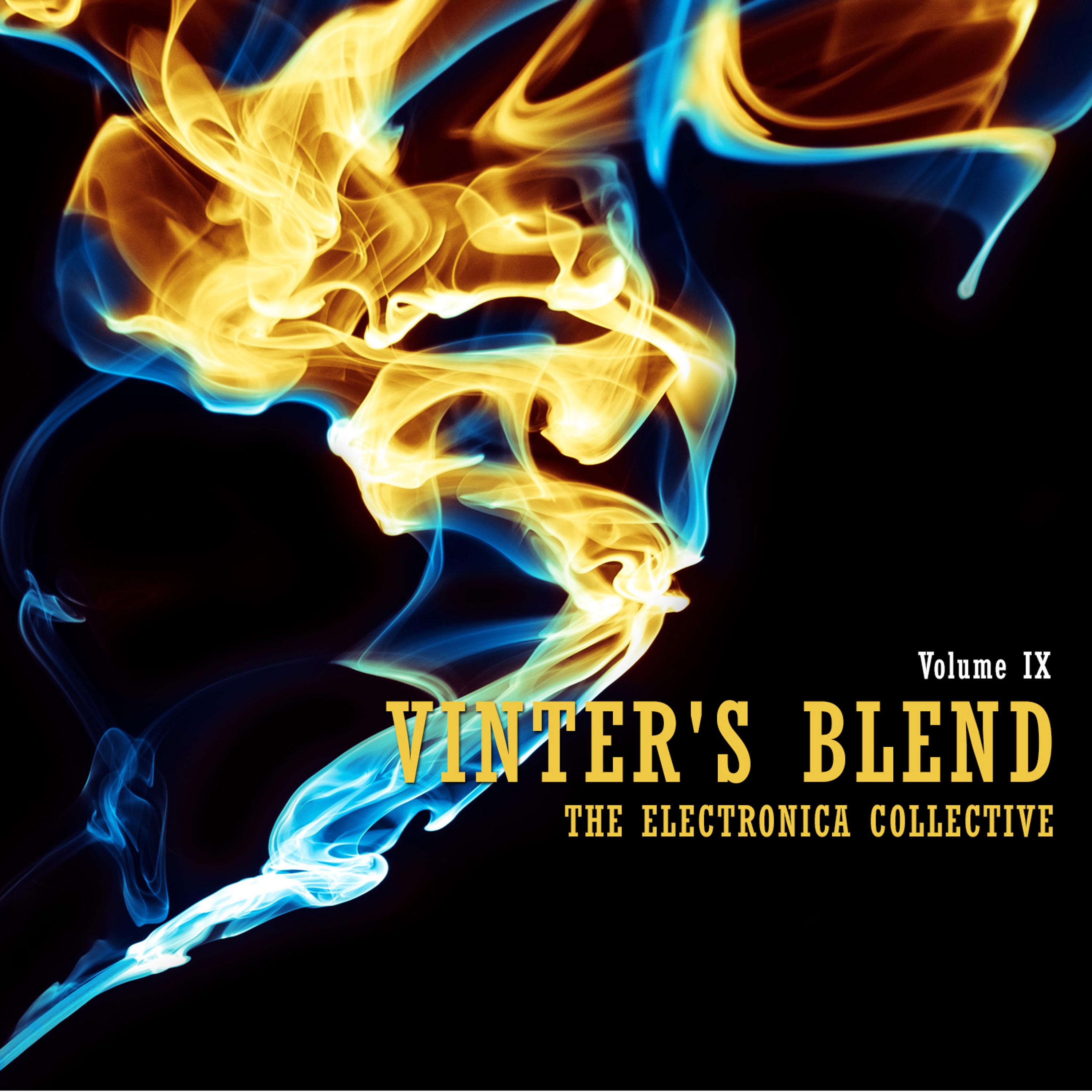 Постер альбома Vinter's Blend: The Electronica Collective, Vol. 9