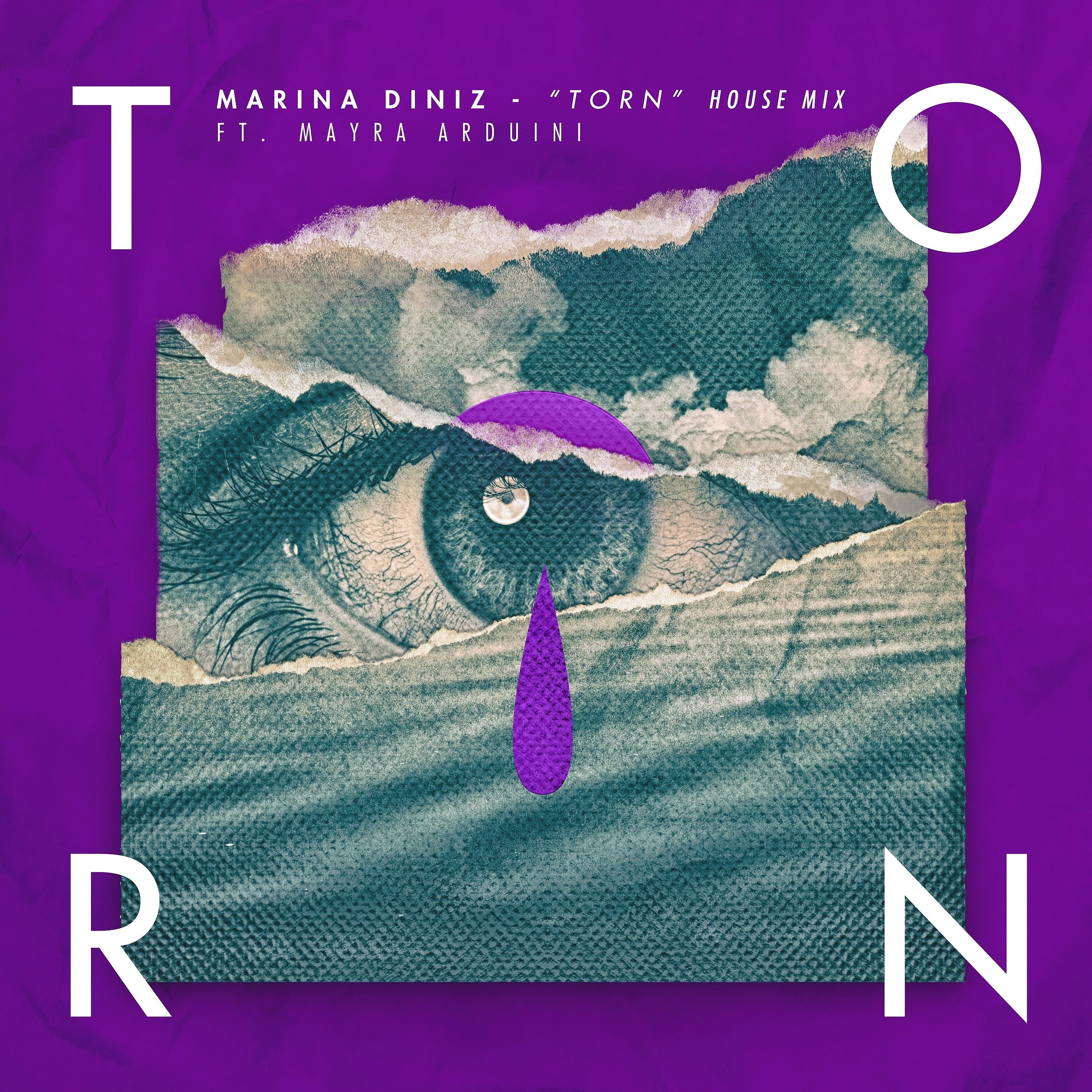 Постер альбома Torn (House Mix)