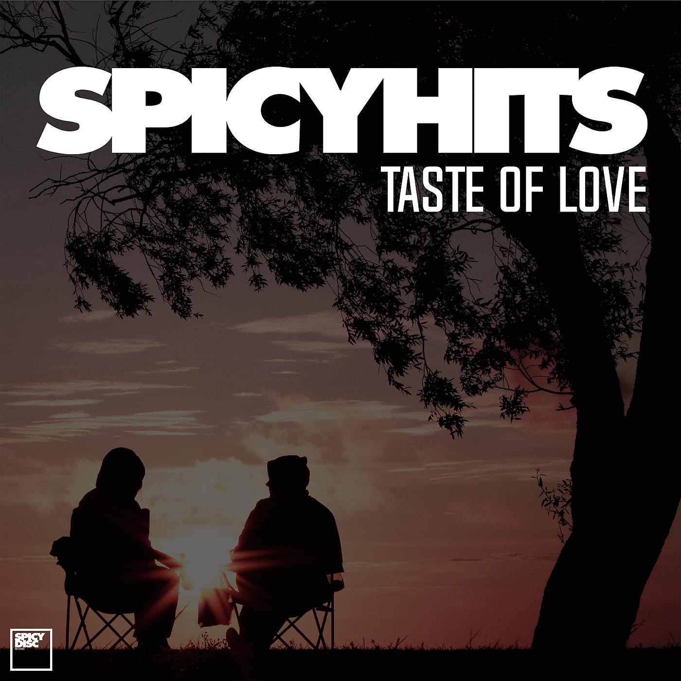 Постер альбома SPICYHITS - TASTE OF LOVE