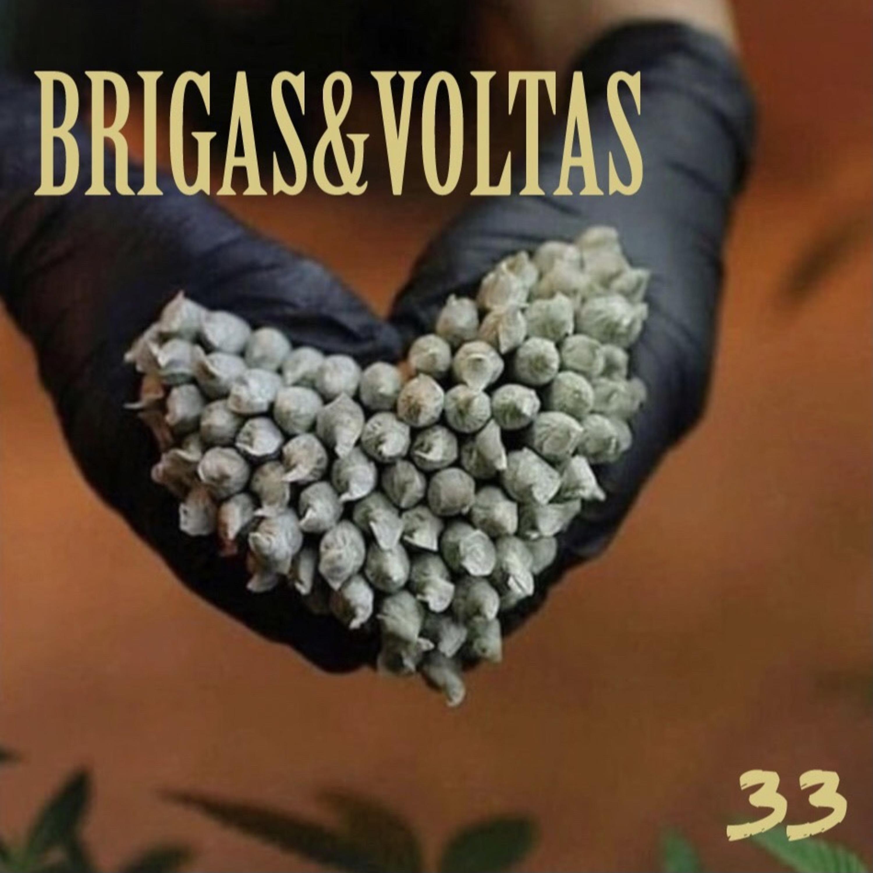 Постер альбома Brigas & Voltas