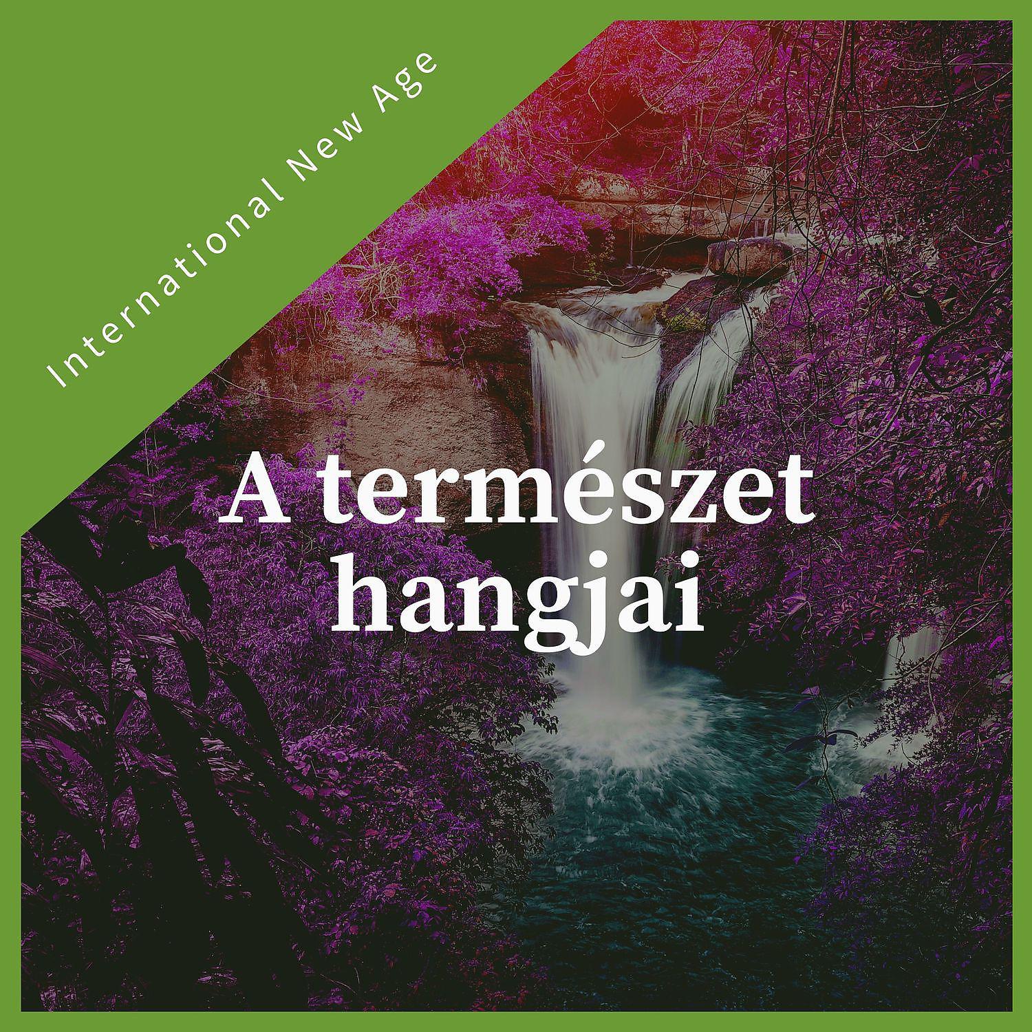 Постер альбома A természet hangjai - Nyugodt new age zene