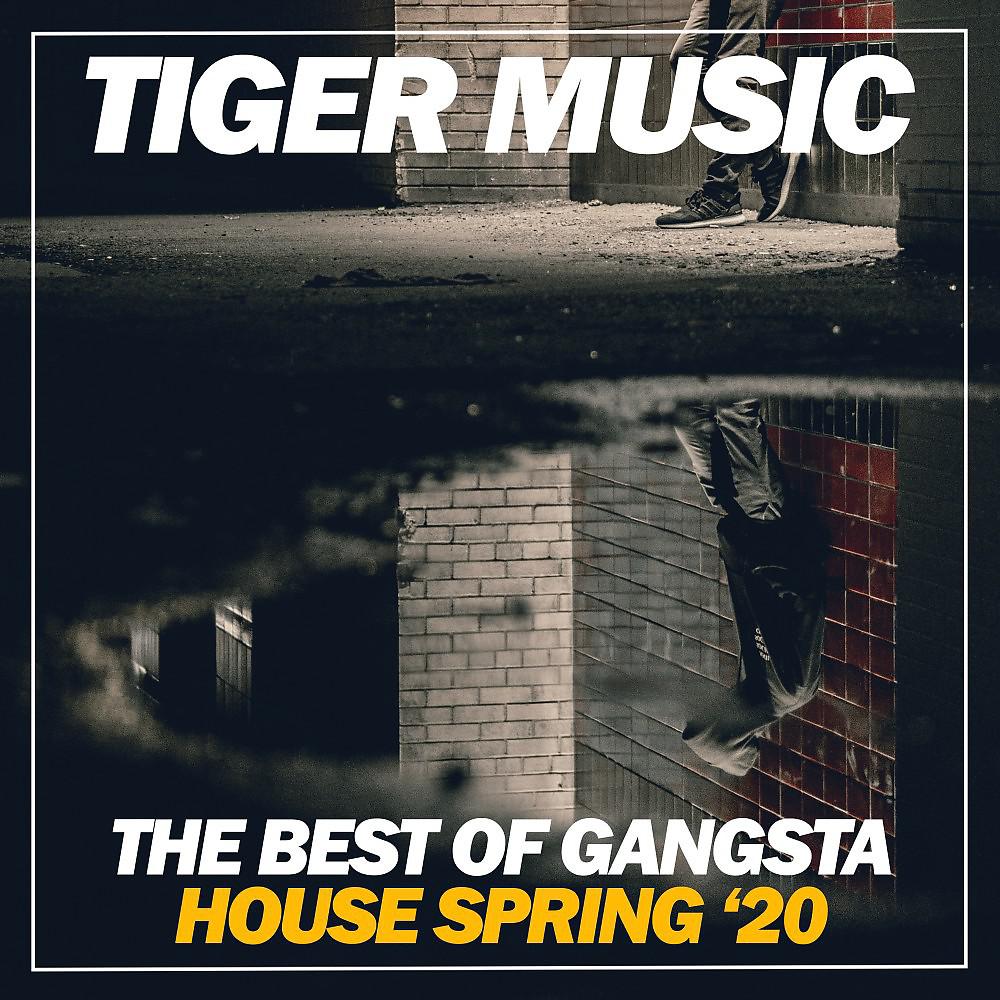 Постер альбома The Best of Gangsta House Spring '20