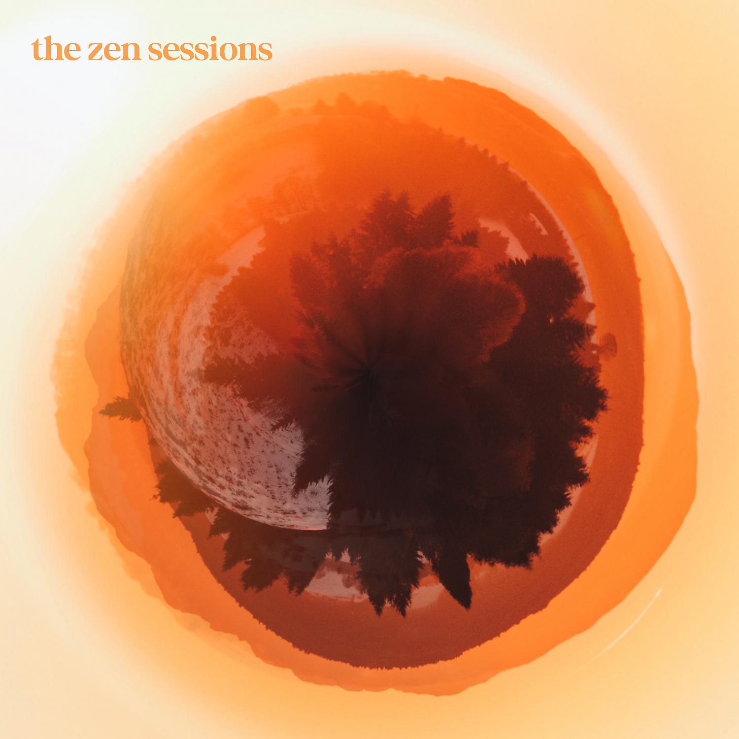 Постер альбома The Zen Sessions