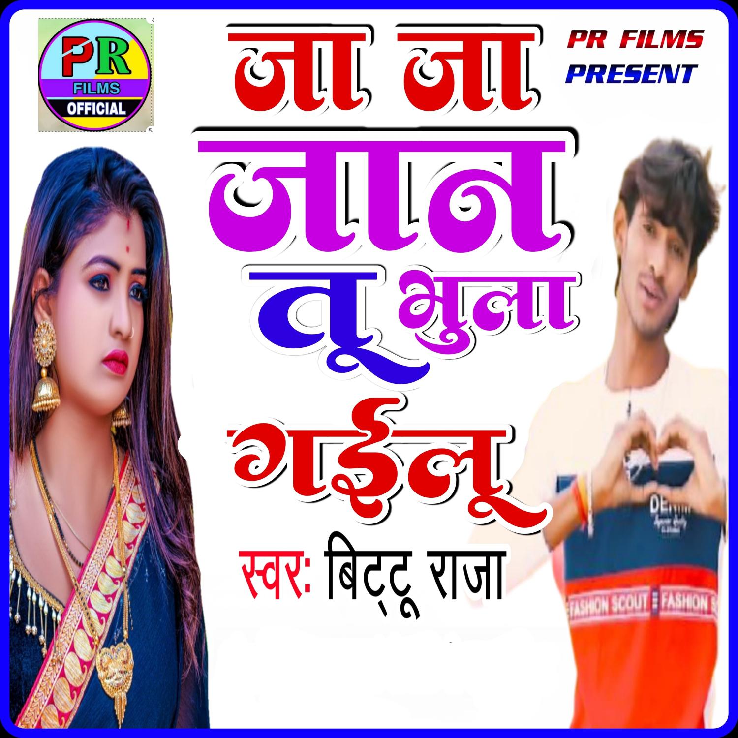 Постер альбома Ja Ja Jaan Tu Bhula Gailu