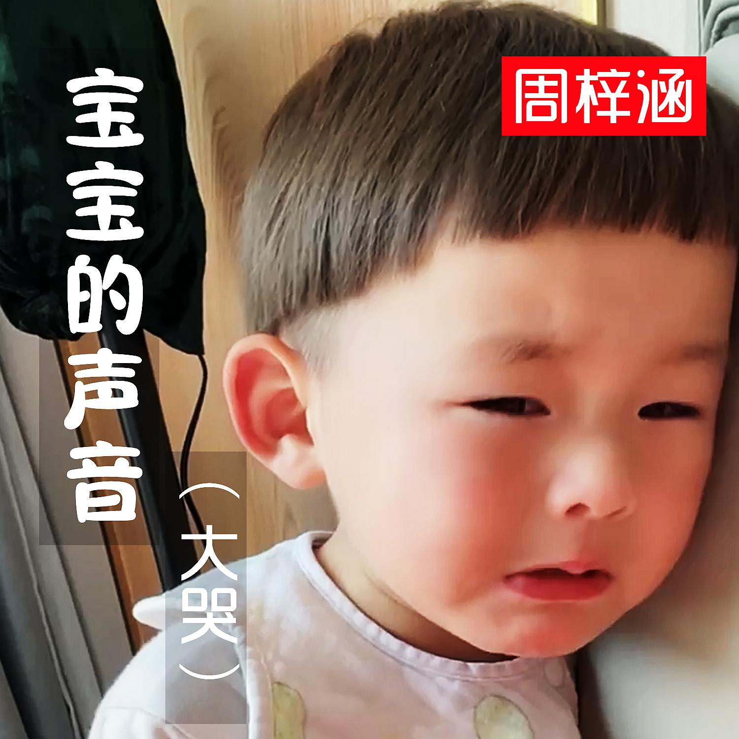 Постер альбома 宝宝的声音（大哭）