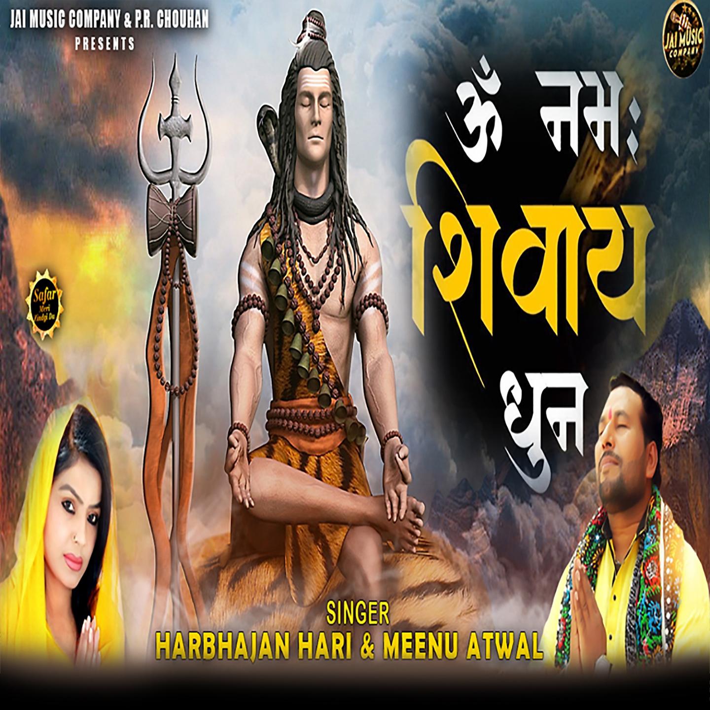 Постер альбома Om Namah Shivay (Dhun)