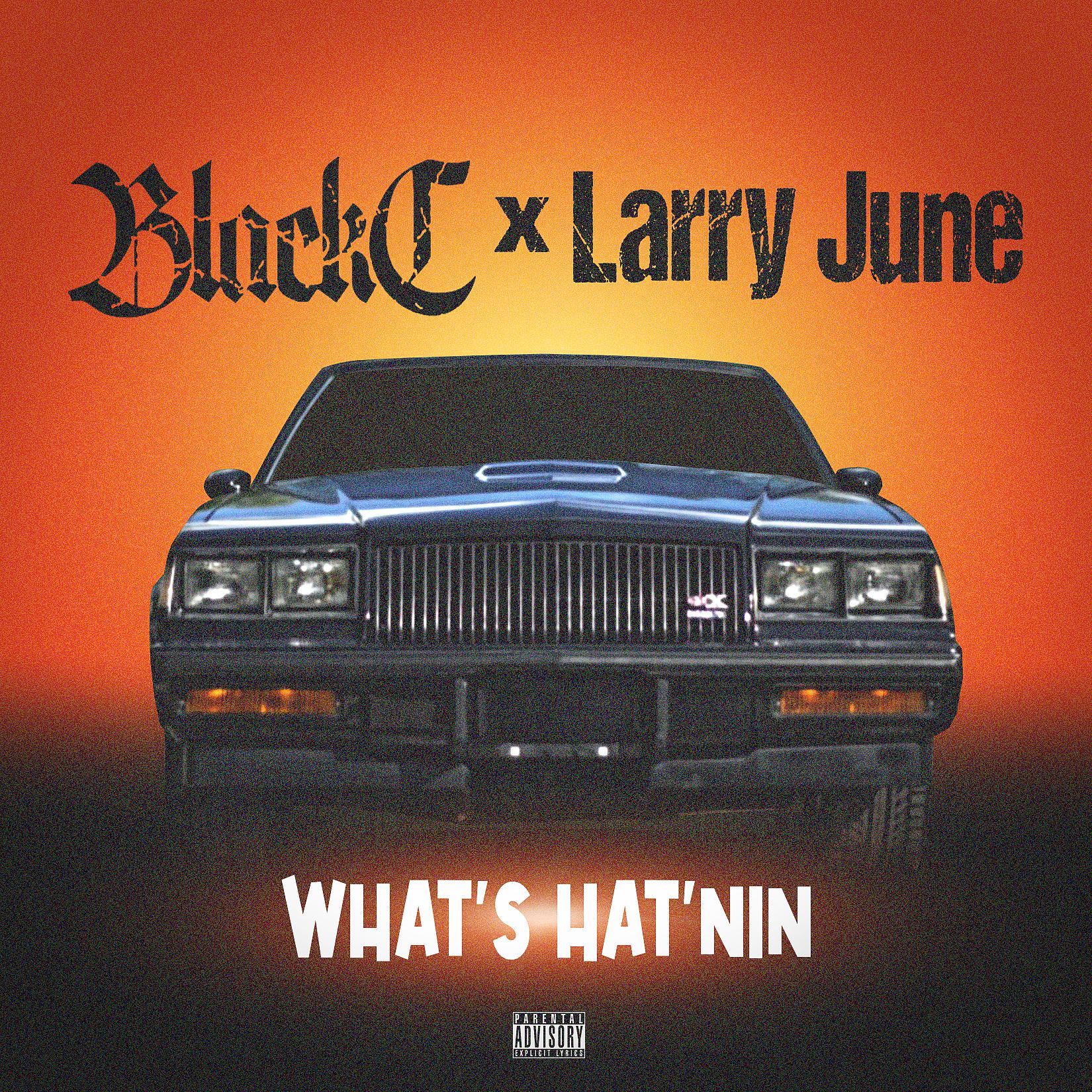 Постер альбома What's Hat'nin (feat. Larry June)