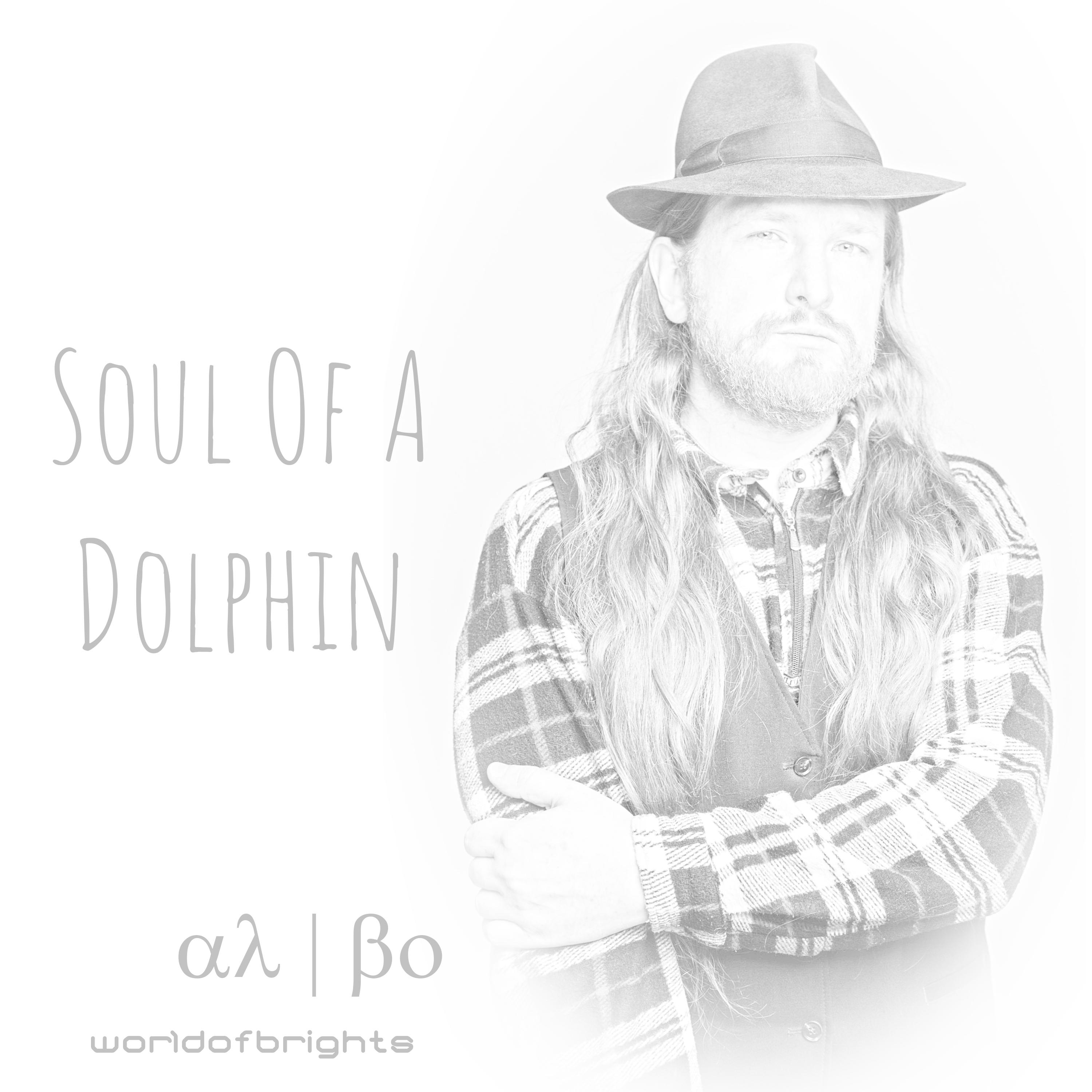 Постер альбома Soul Of A Dolphin