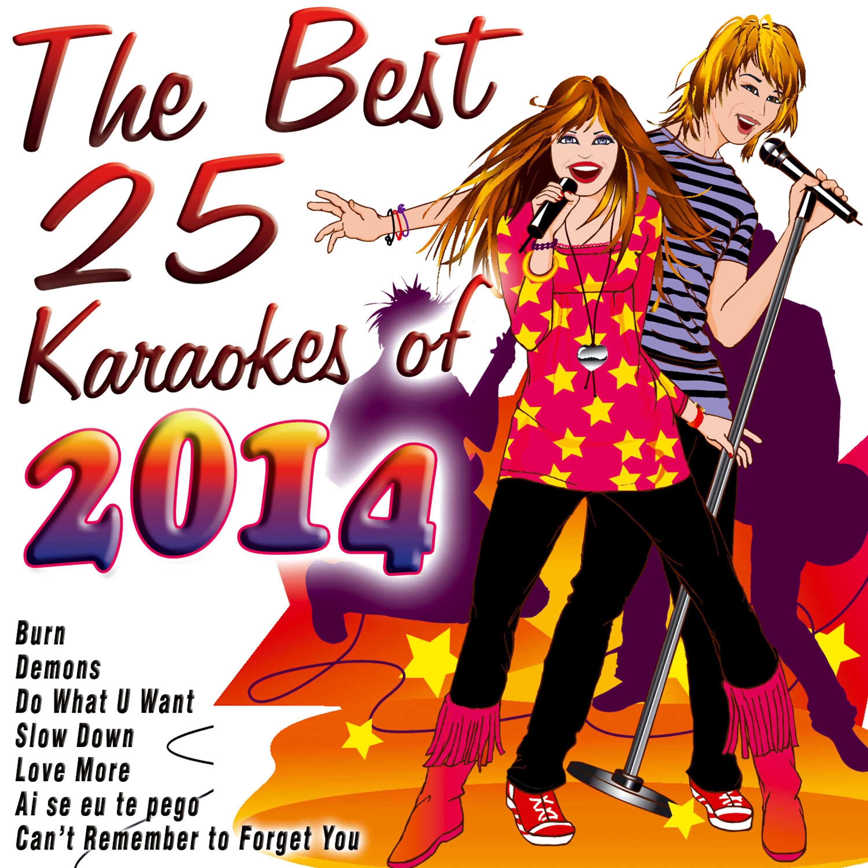 Постер альбома The Best 25 Karaokes of 2014