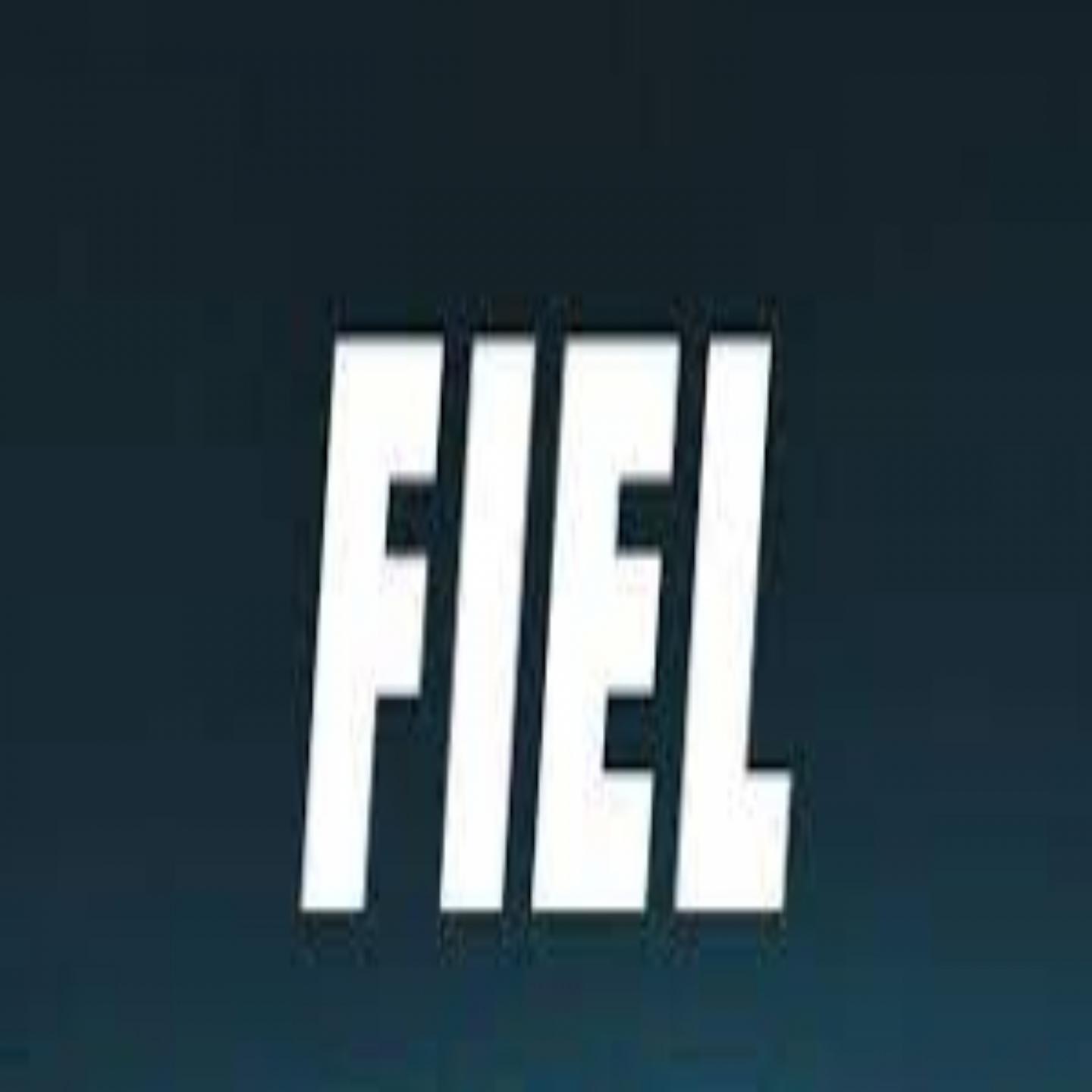 Постер альбома Fiel Remix