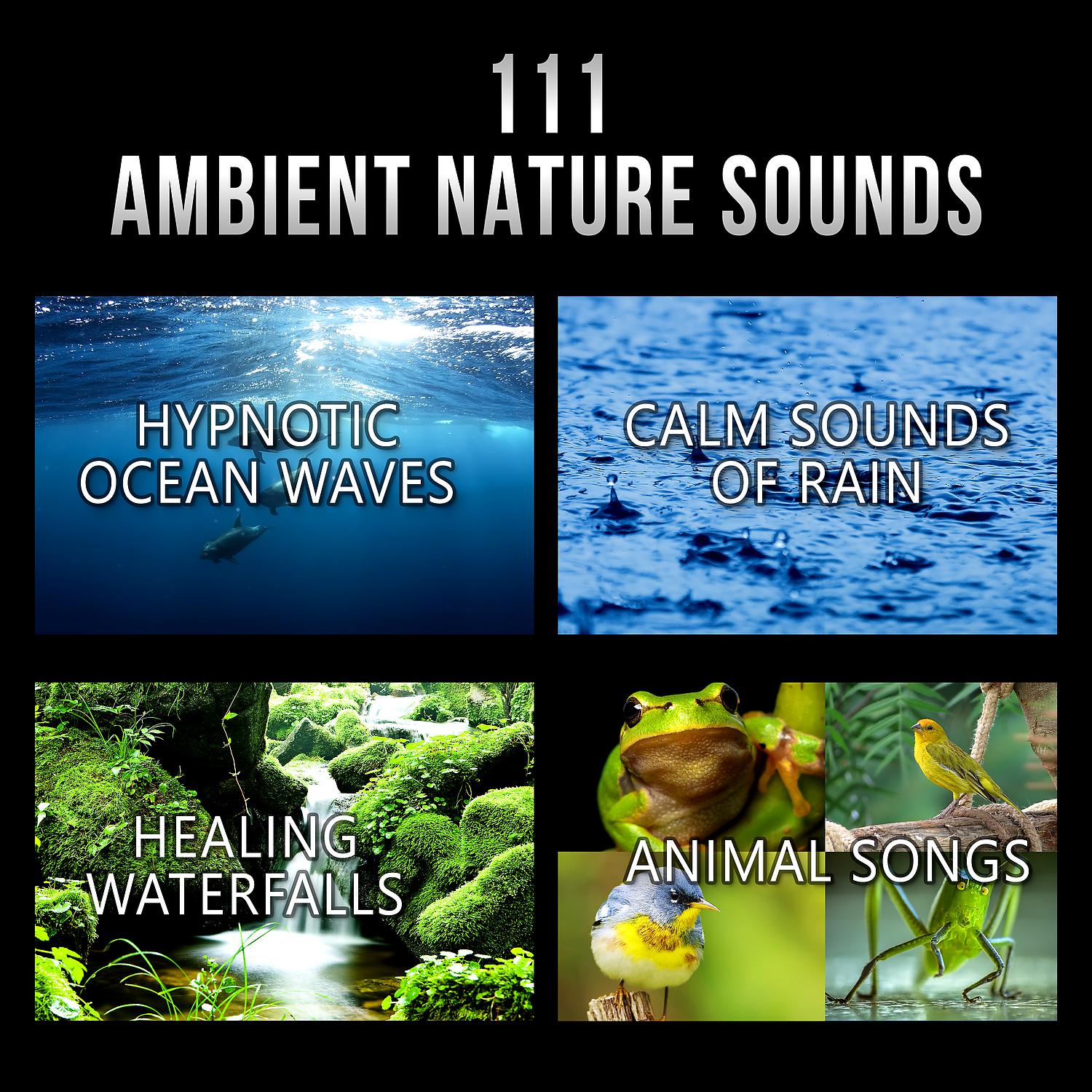 Постер альбома 111 Ambient Nature Sounds: Best Relaxing Music, Hypnotic Ocean Waves, Calm Sounds of Rain, White Noise, Healing Waterfalls and Animal Songs to Reduce Stress
