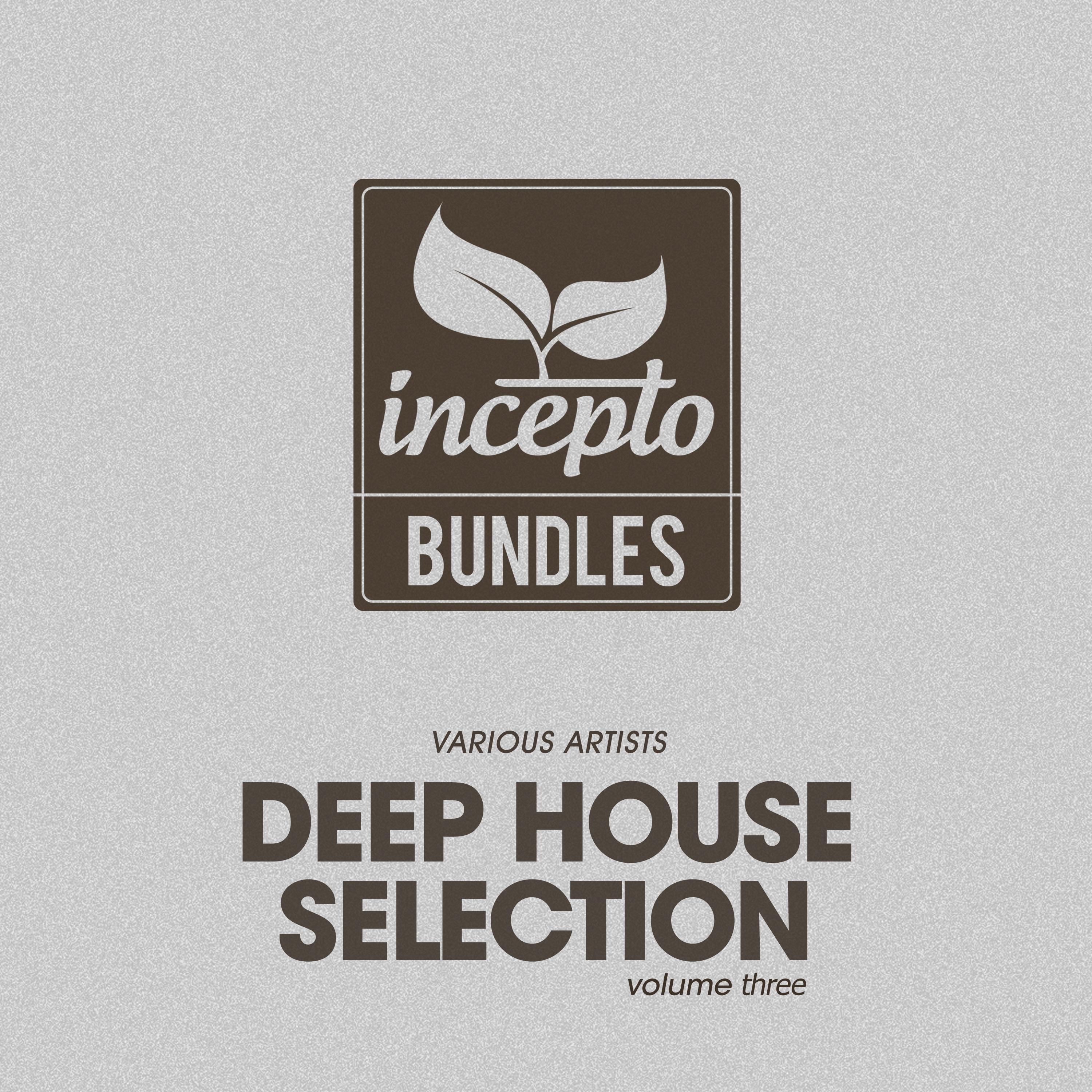 Постер альбома Deep House Selection, Vol. 3