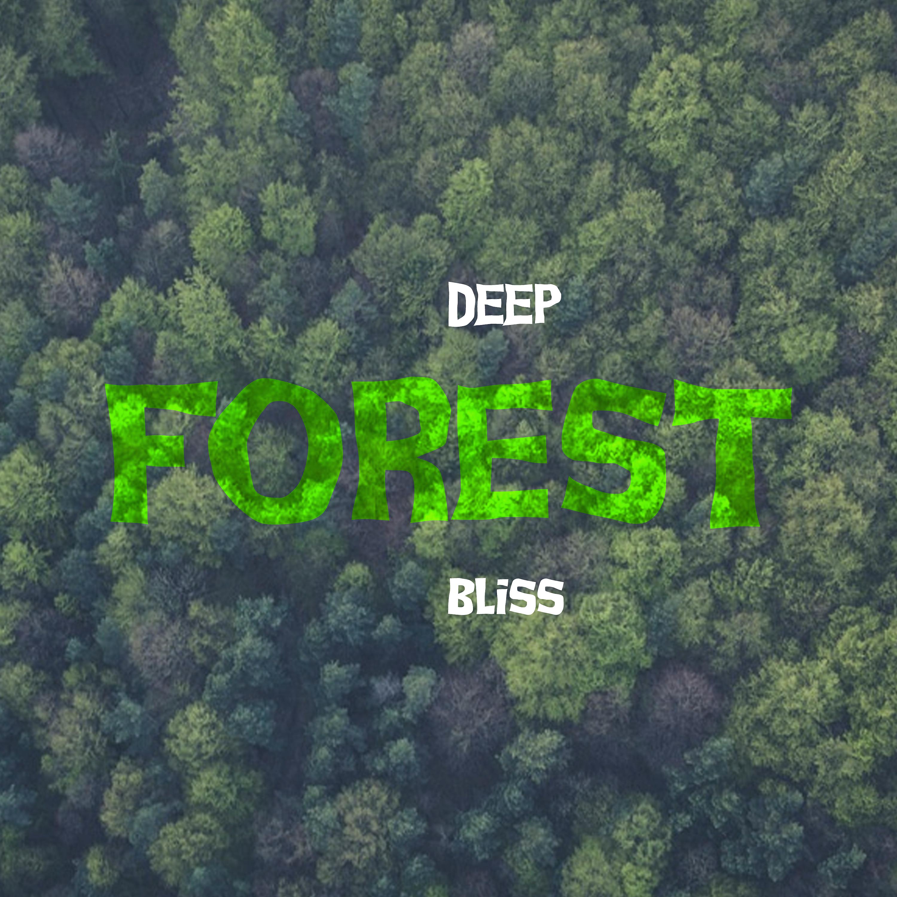 Постер альбома Deep Forest Bliss