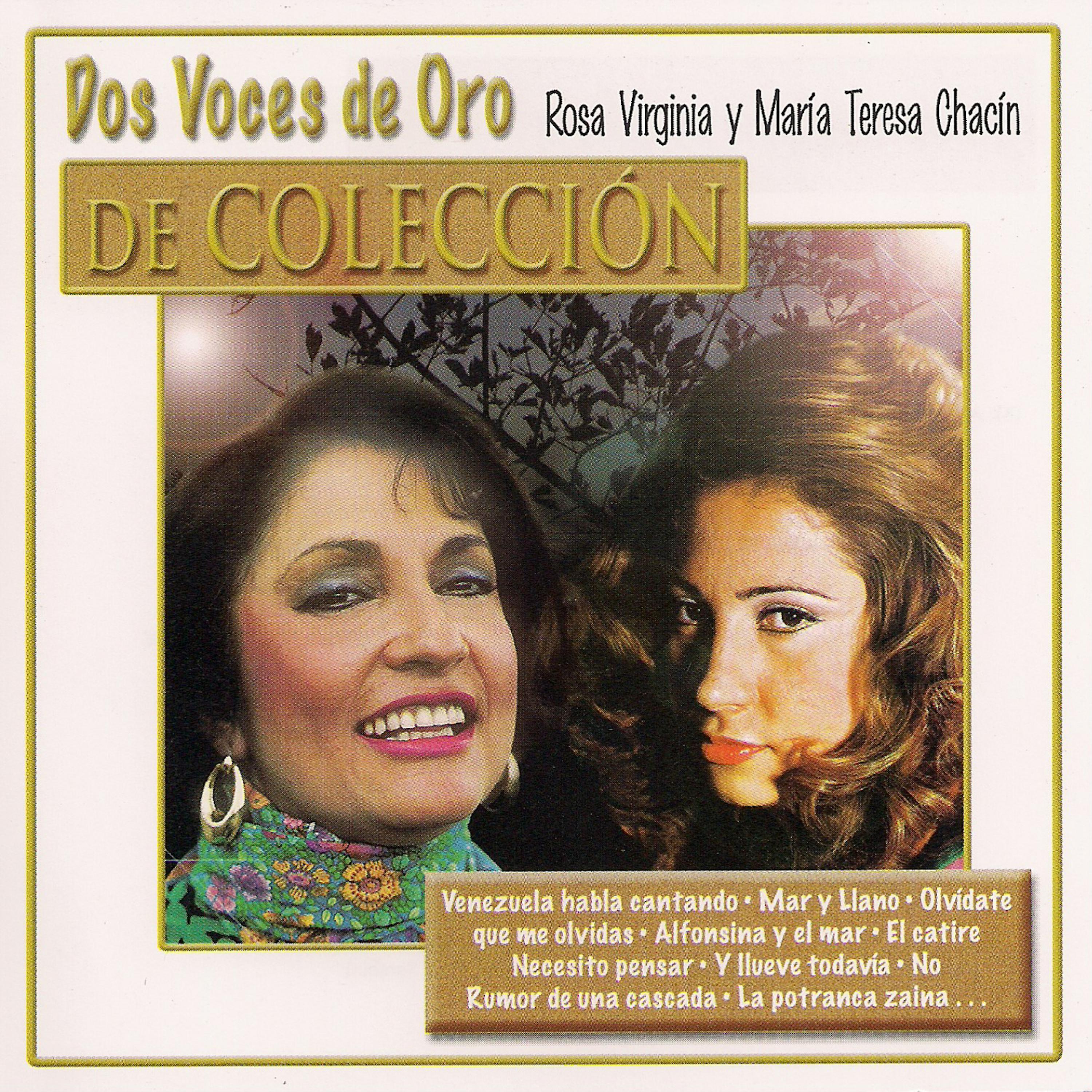 Постер альбома Dos Voces de Oro de Colección